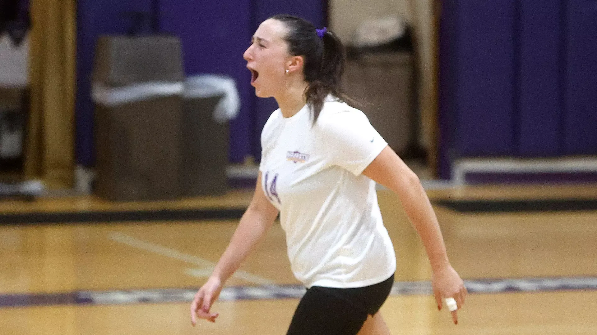 Women's Volleyball vs. Rochester (Jamie Germano) 