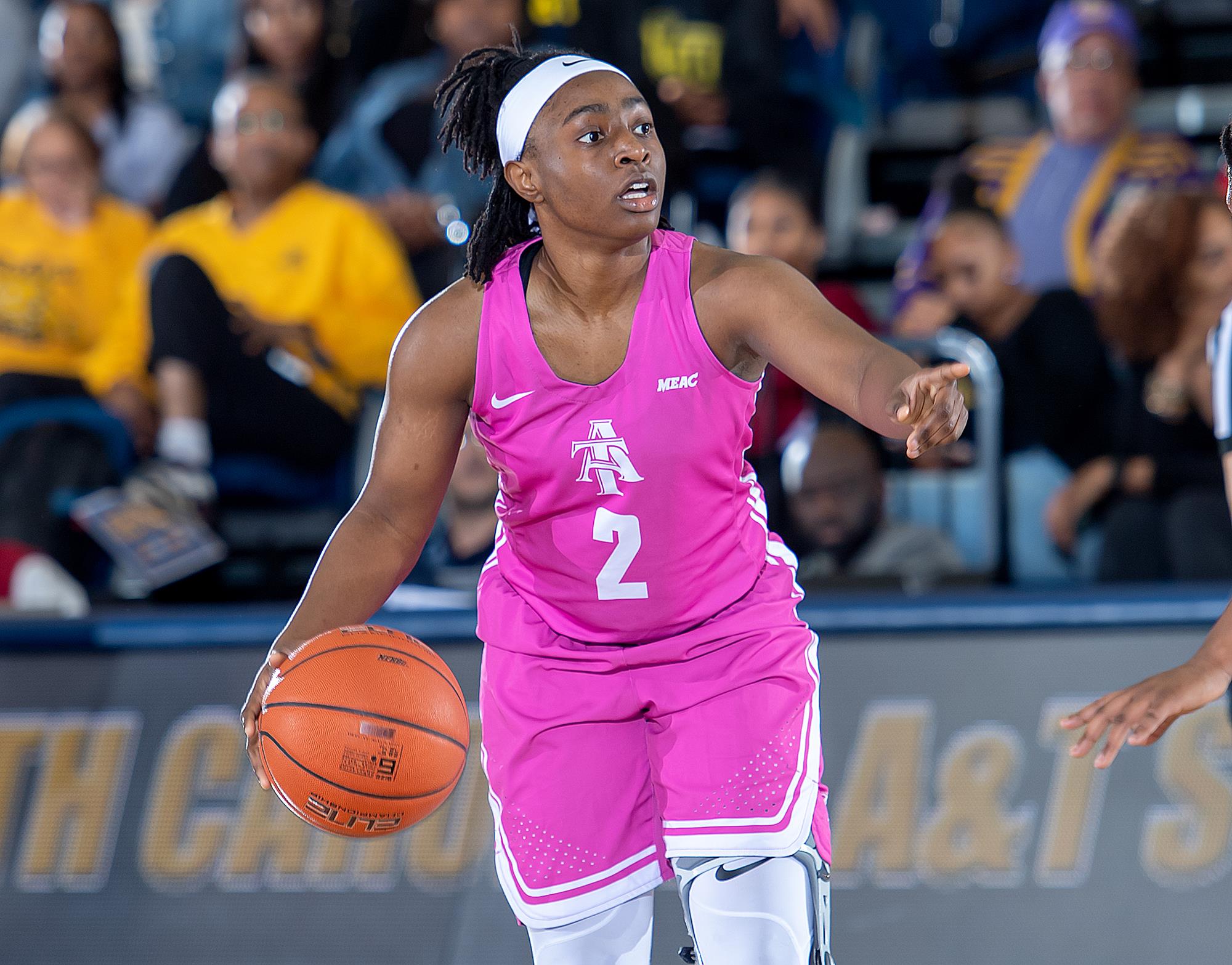 Shantell Bostick 201920 Women's Basketball North Carolina A&T
