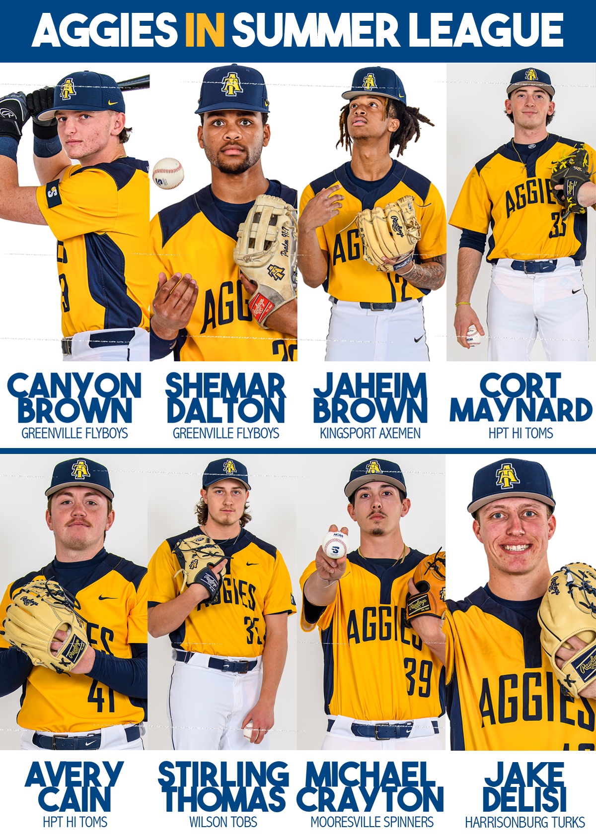 Baseball Has Several Players In Action Across Summer Leagues North