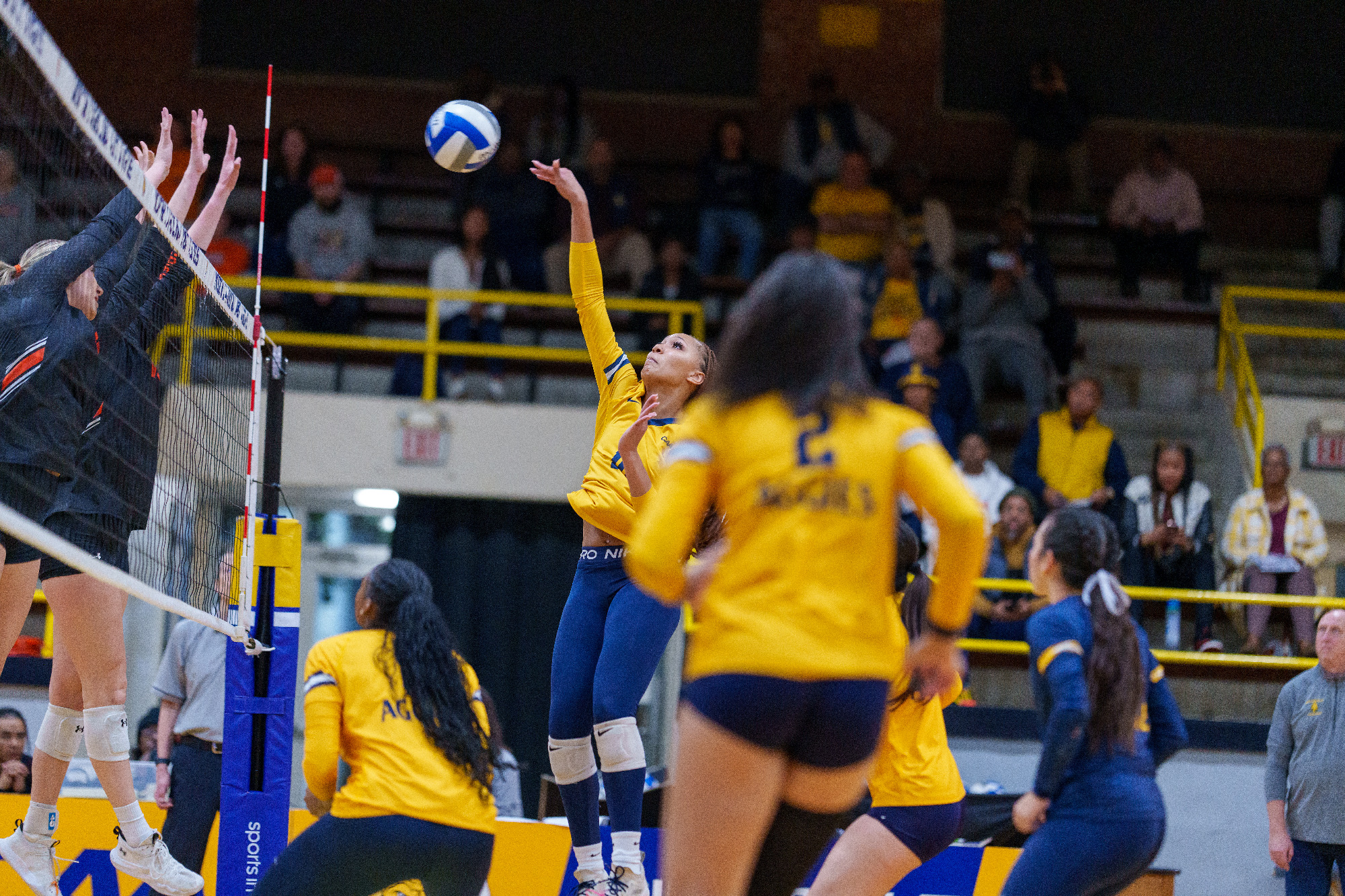 Mikala Sampson (10) - 2025 A&T Volleyball vs Campbell \ www.ncataggies.com - Photo by: Kevin L. Dorsey