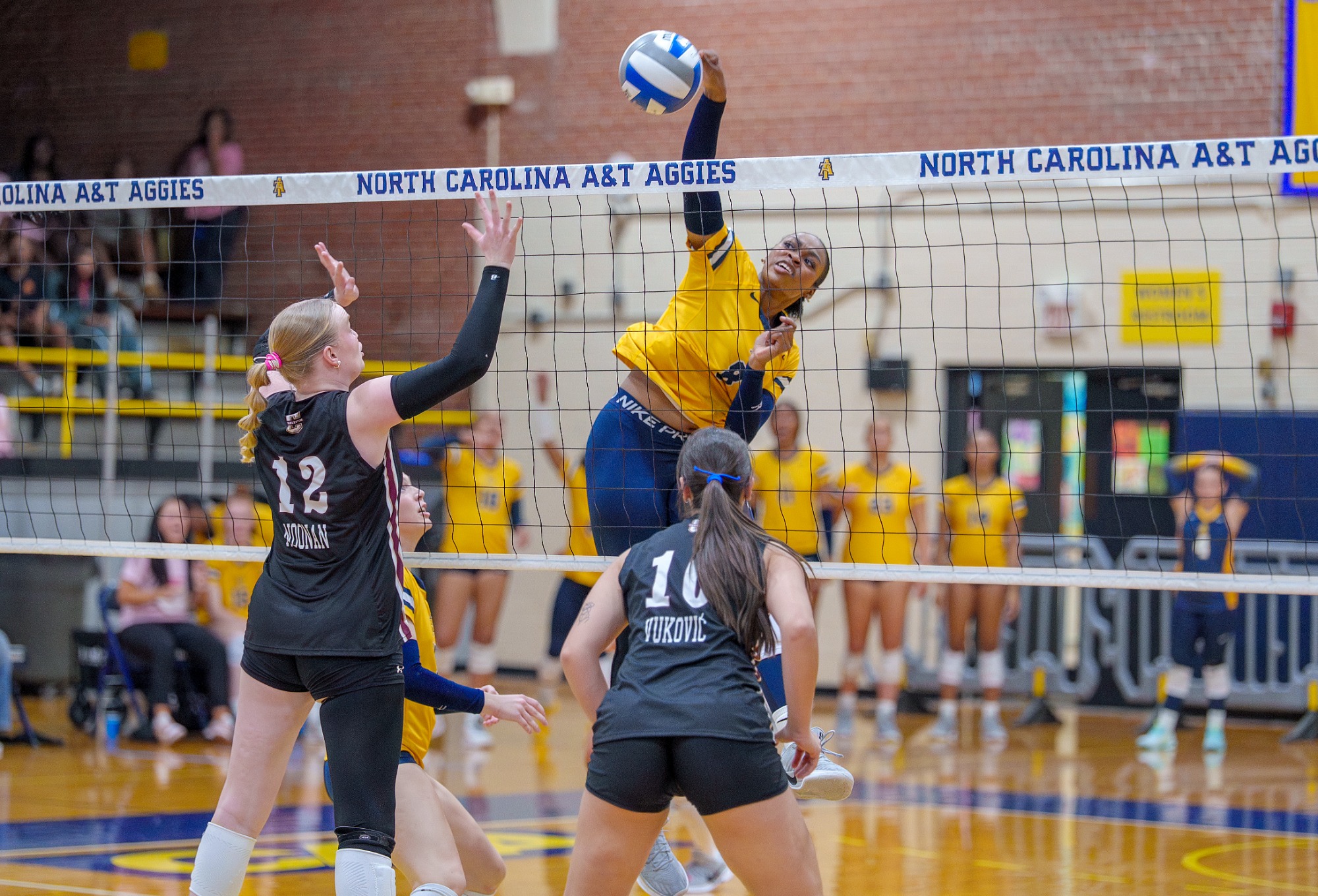 Nicole Ellis (8) - 2026 A&T Volleyball vs Charleston \ www.ncataggies.com - Photo by: Kevin L. Dorsey