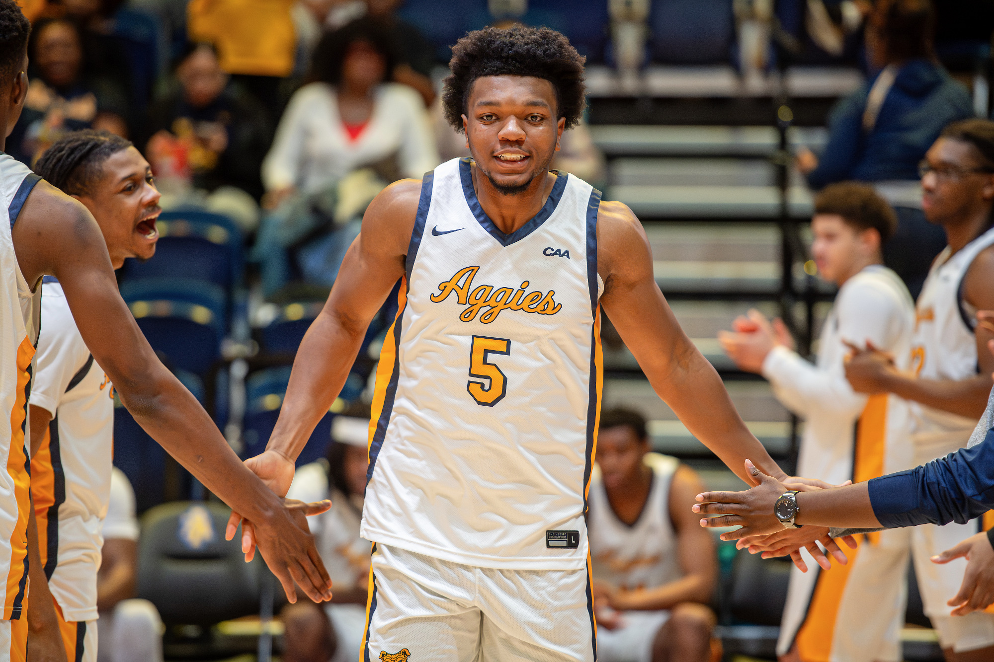 2026 ERIN E. MIZELLE