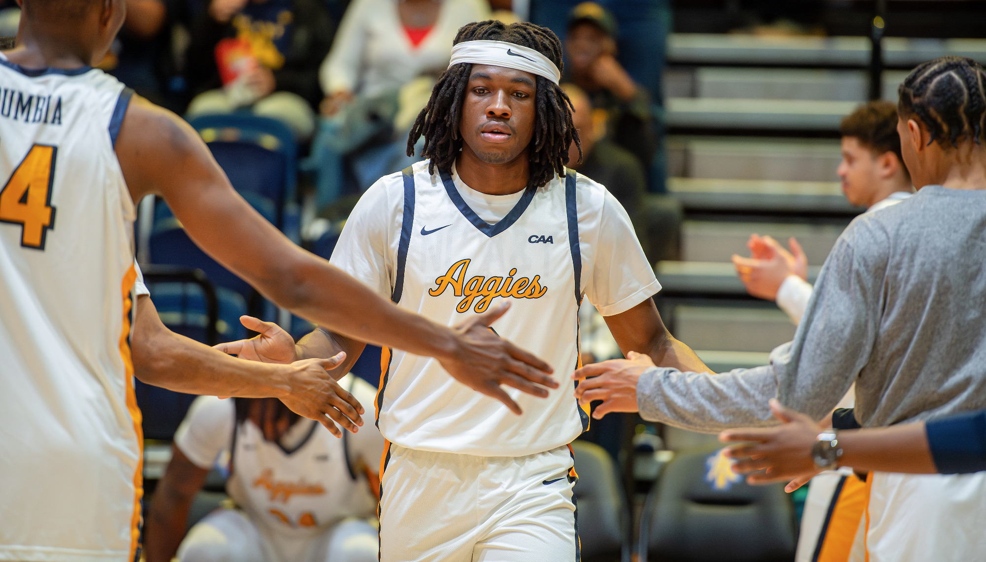 2026 ERIN E. MIZELLE