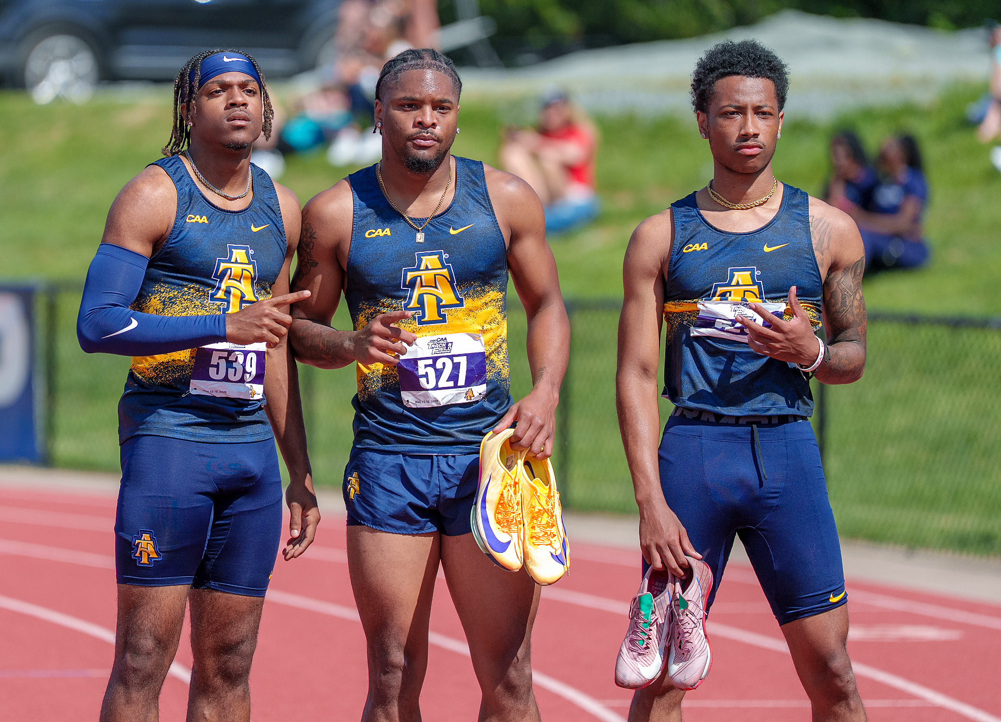 0954_Hurdlers