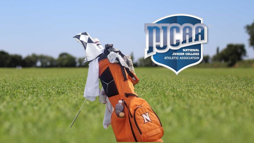 golf bag