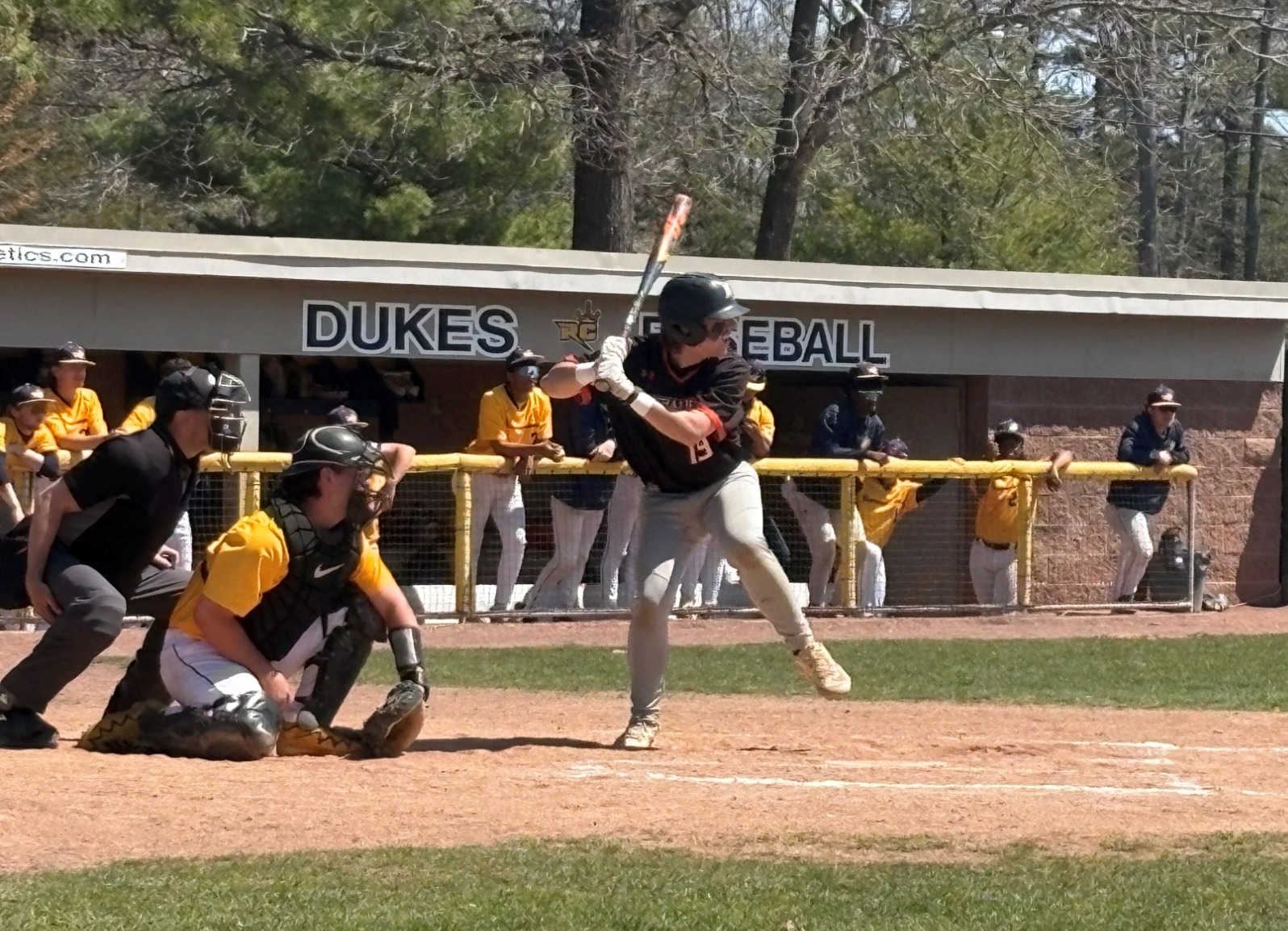 BASE-Pushkar-RCSJ-C-04102026