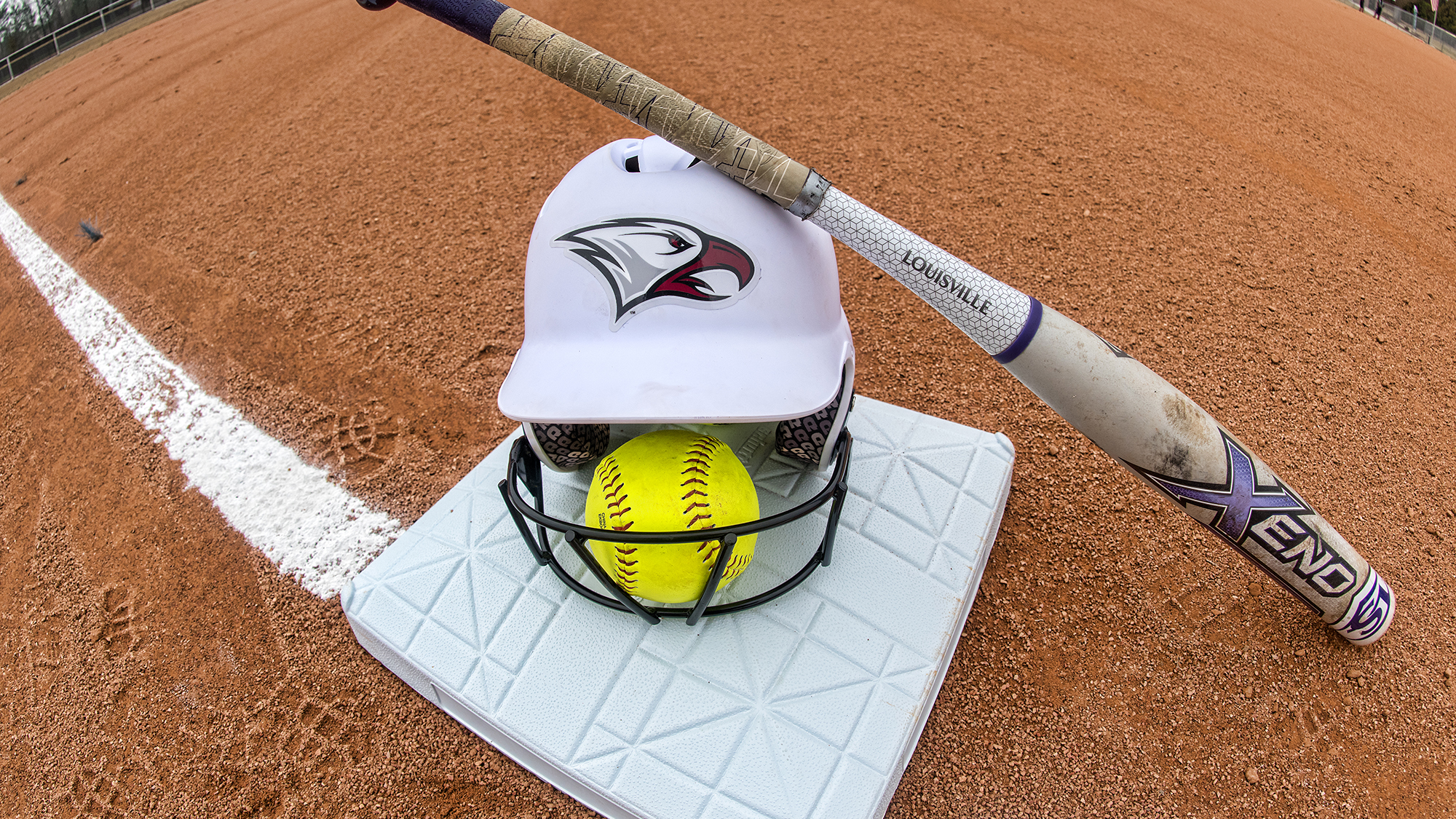 Softball Random