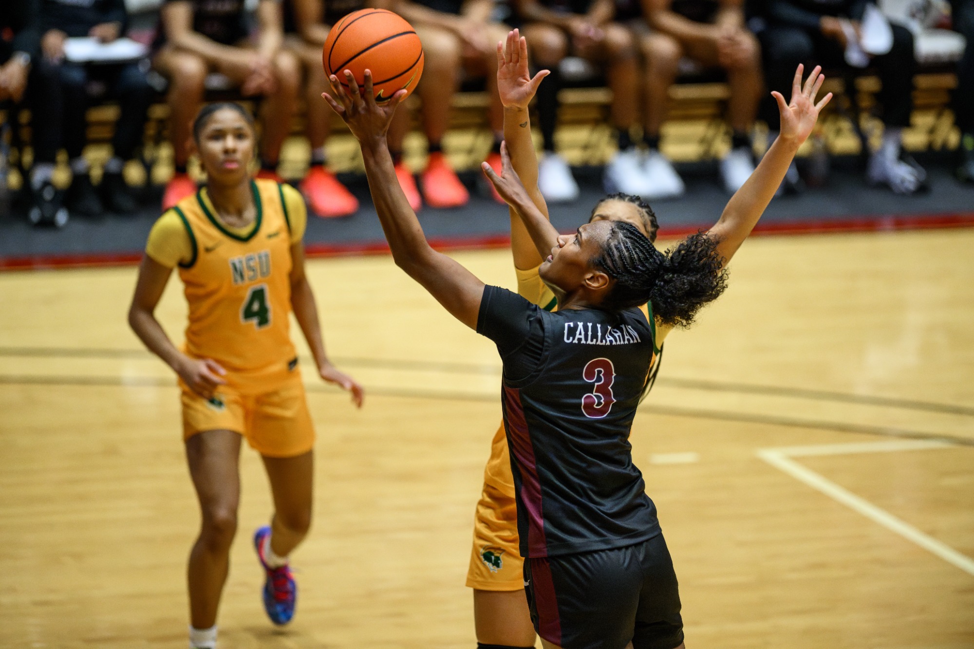 Morgan Callahan vs. Norfolk State 2026 I 