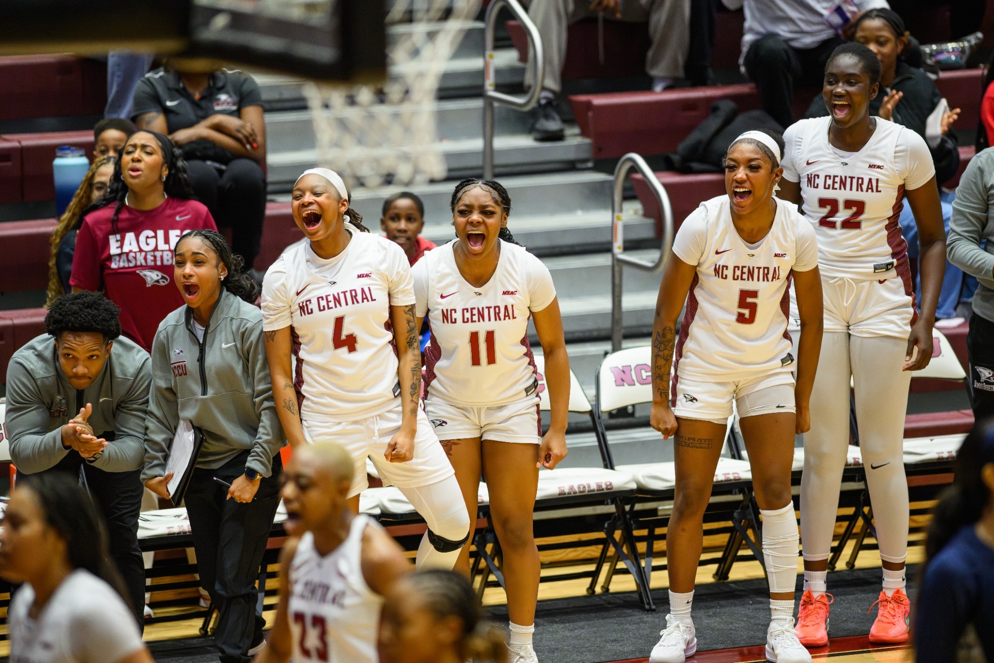 NCCU Team Cheering 2026