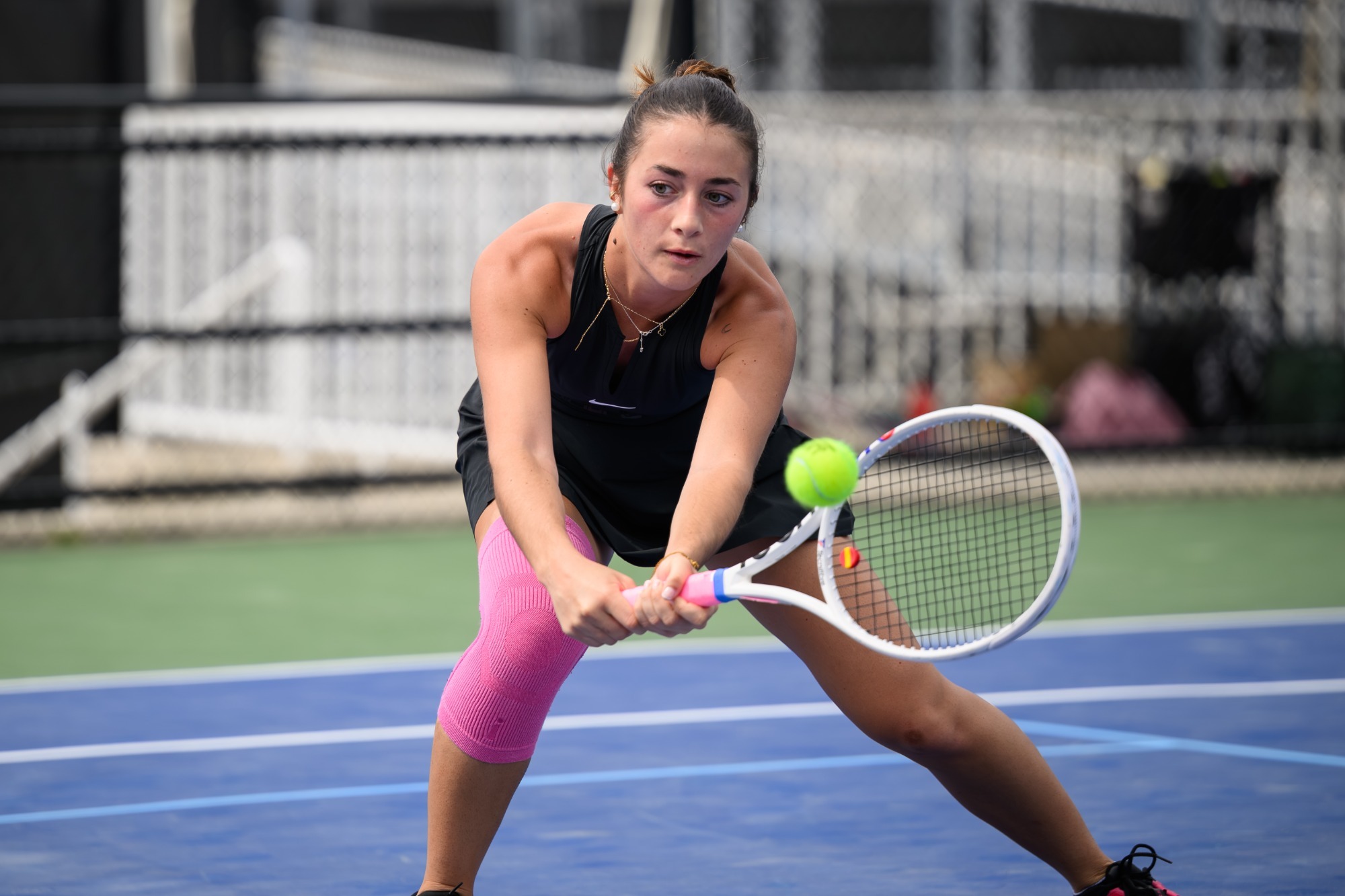 Alejandra_Hidalgo_Vega 2026