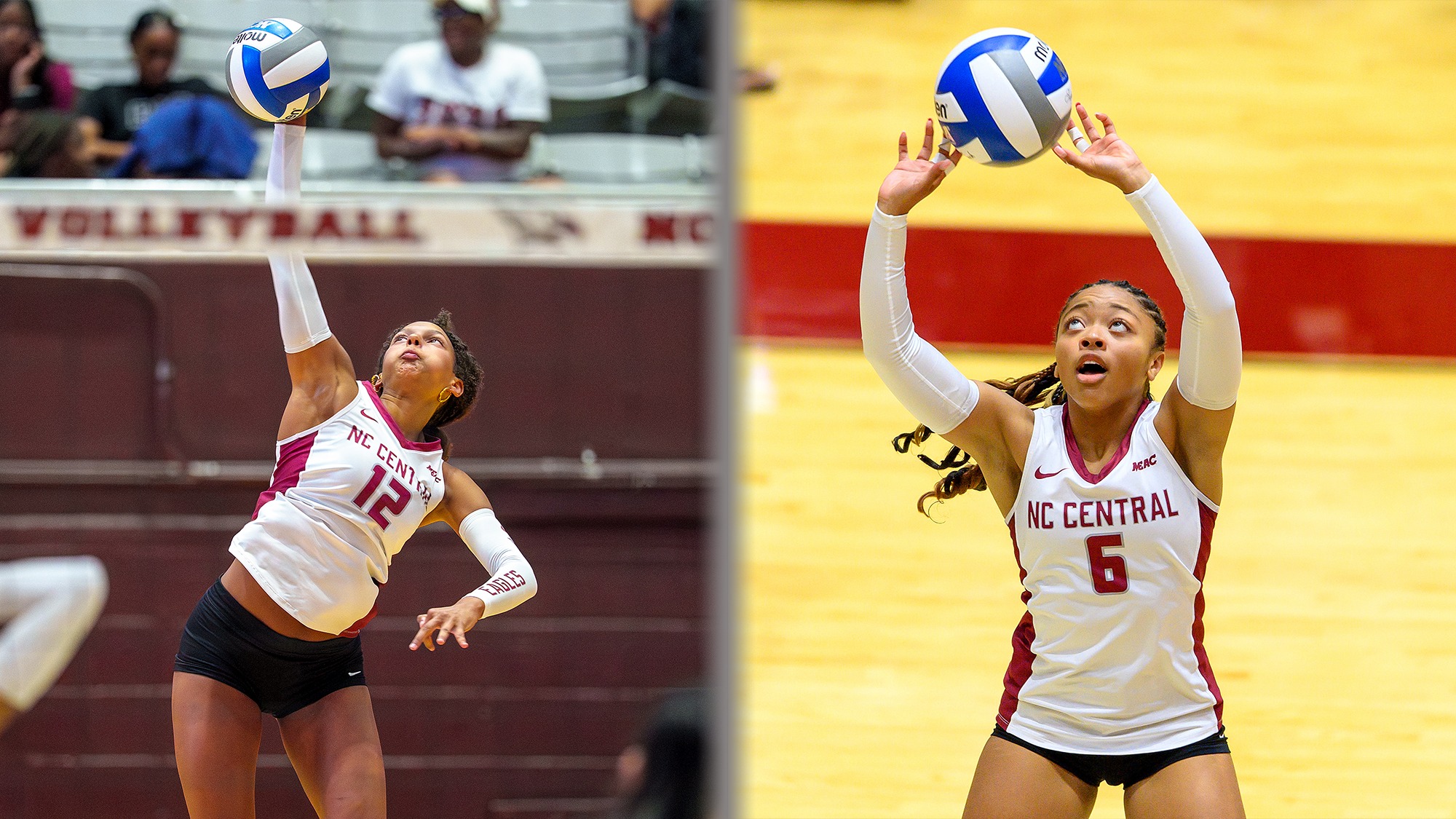 Shalyn Bell/Breylan Fairley Graphic 