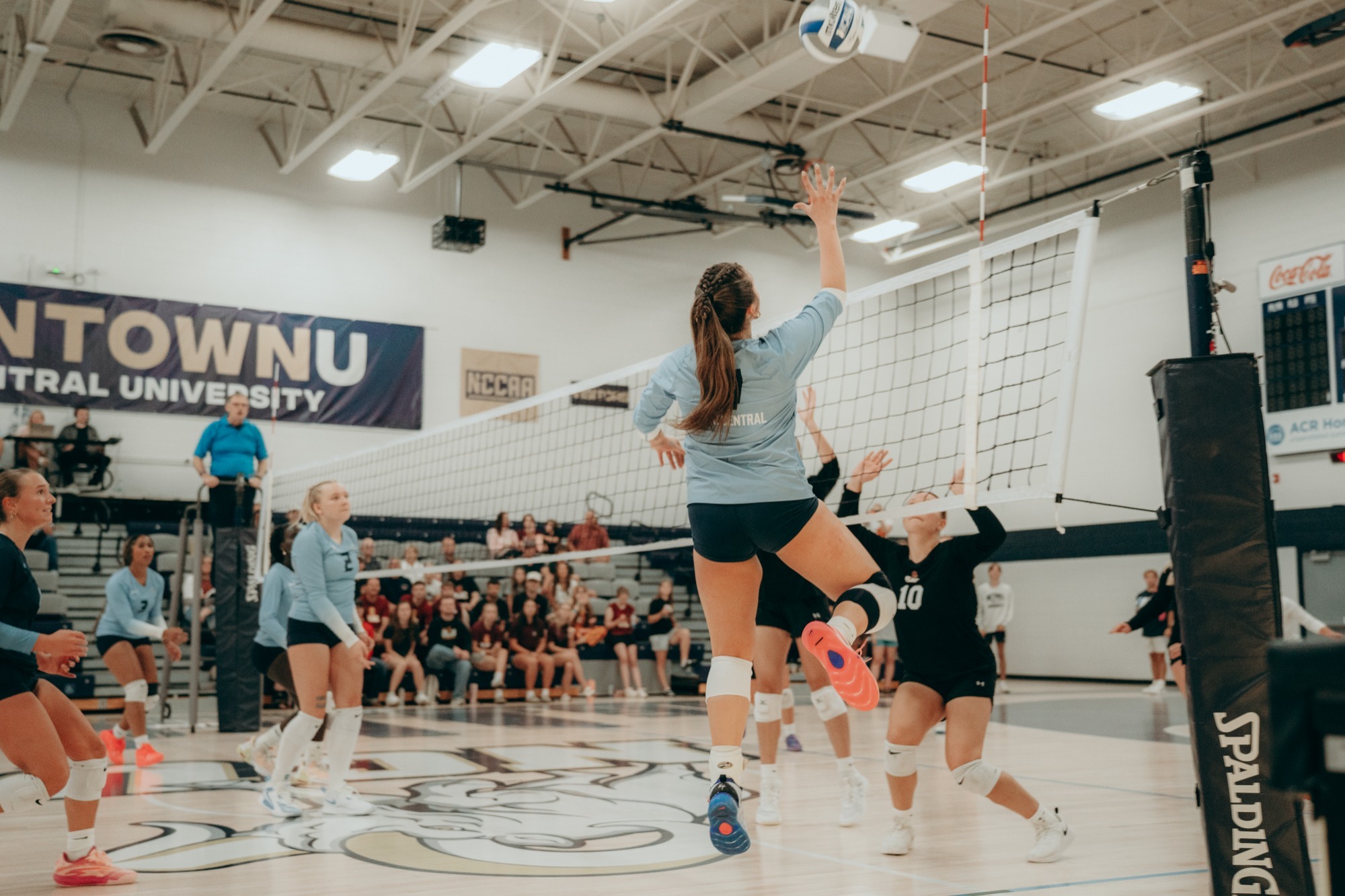 wvb loss the hamline
