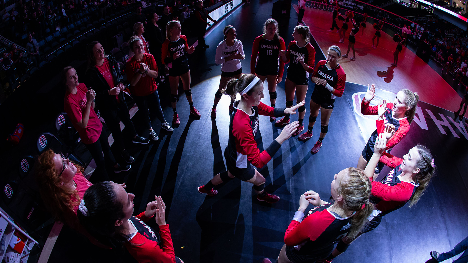 Sydney Case Volleyball University of Nebraska Omaha Athletics