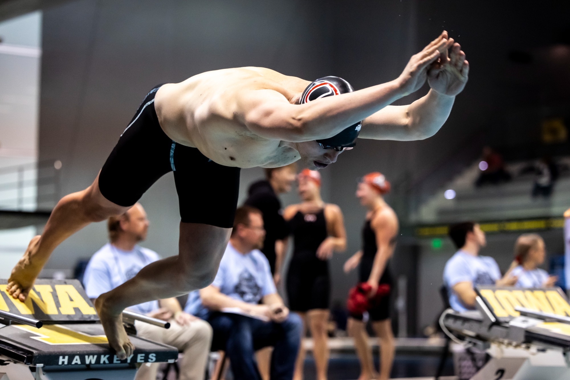 Eight Mavericks earn Summit League Swim & Dive Academic All-League ...