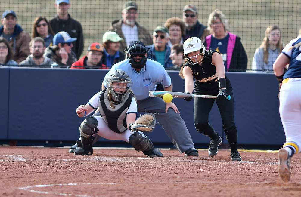 Savanna Lakin 2019 Softball Nebraska Wesleyan University Athletics