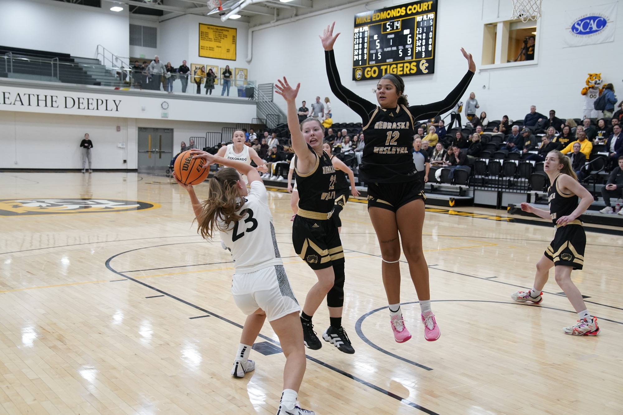 Women's Basketball Hosts Loras to Begin Three Game Home Stand