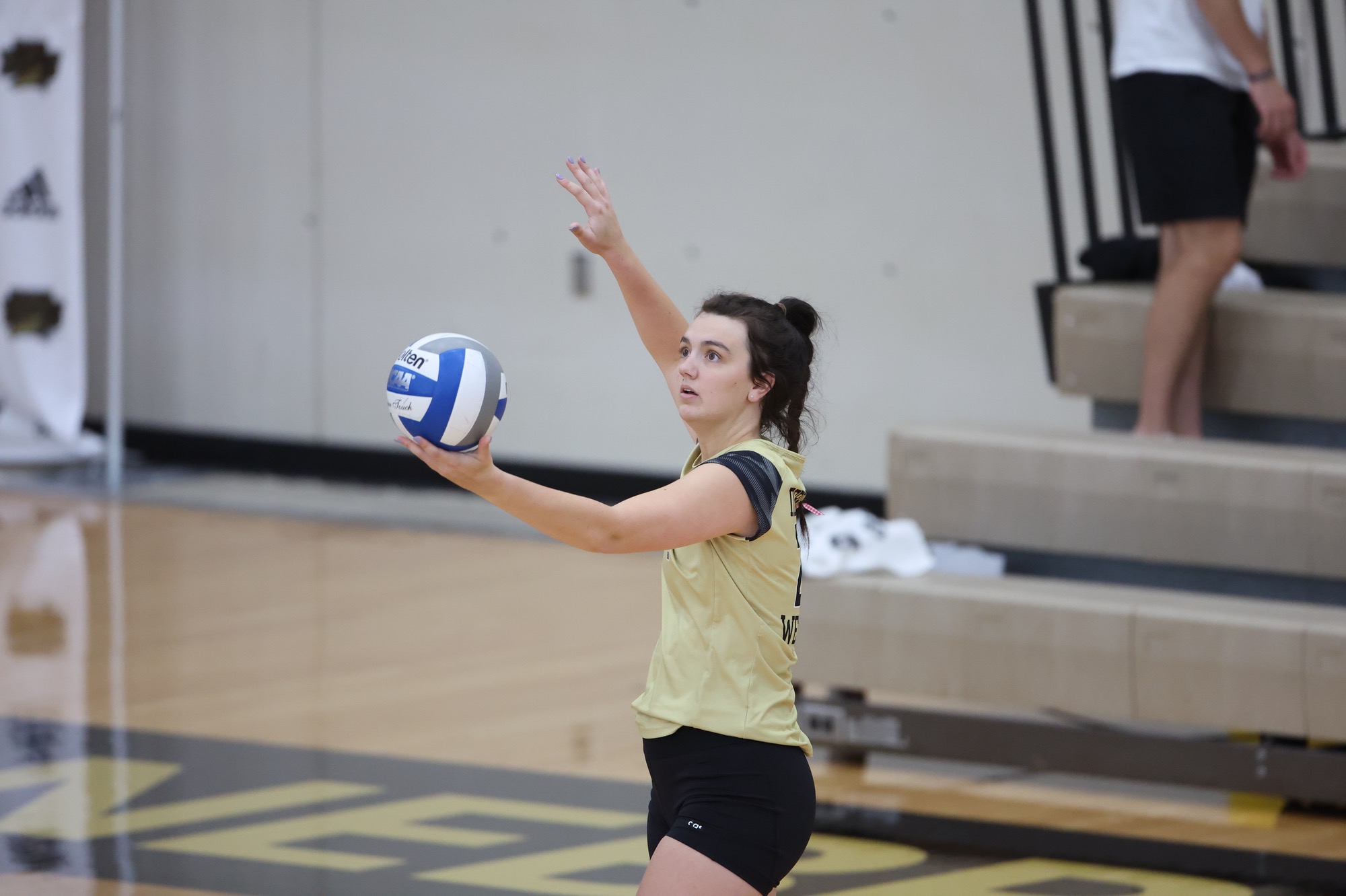 Volleyball Picked Fourth in ARC Preseason Coaches Poll Nebraska