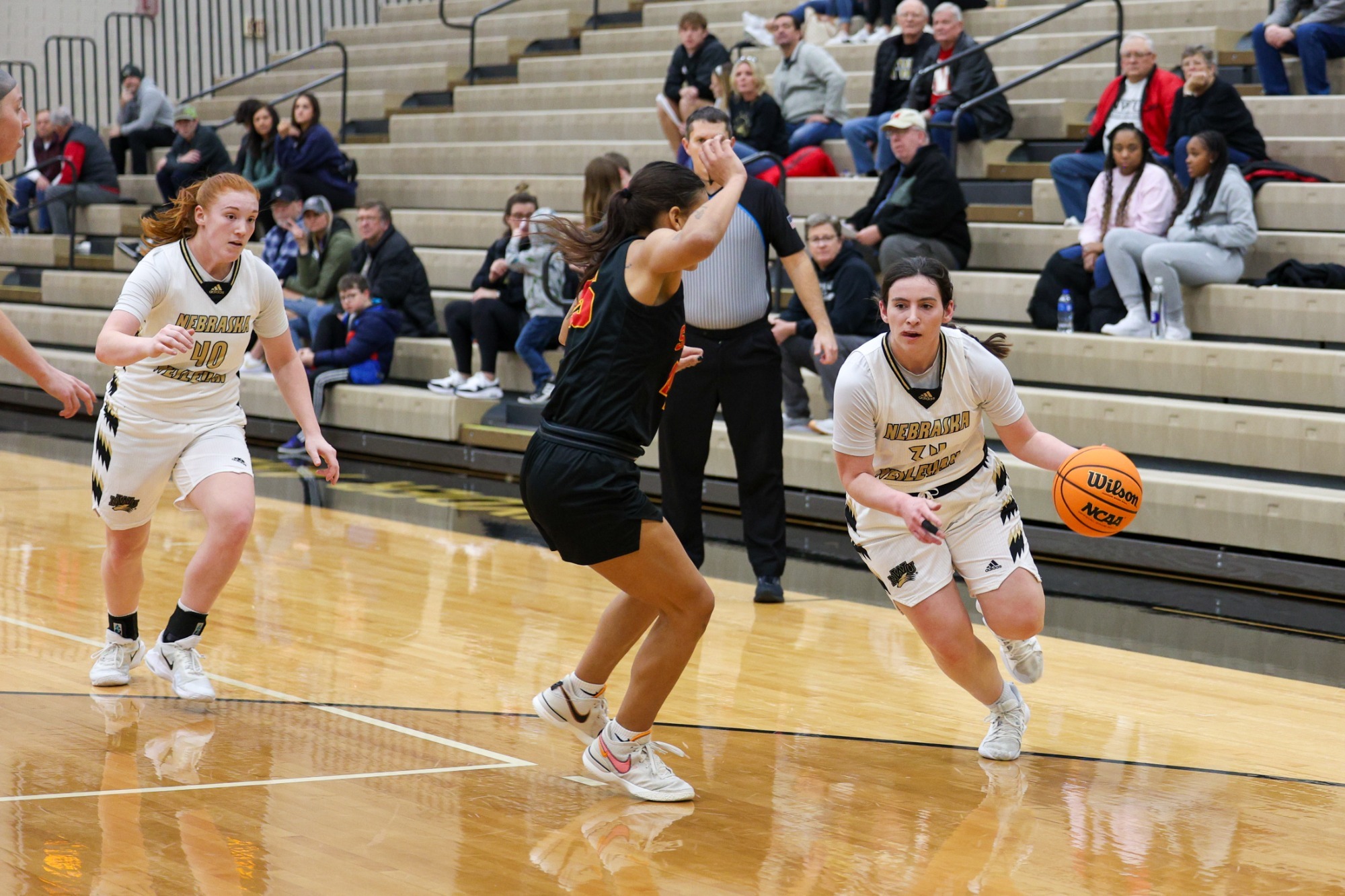 Women's Basketball Faces Tough Task Against 11/12 Wartburg Nebraska