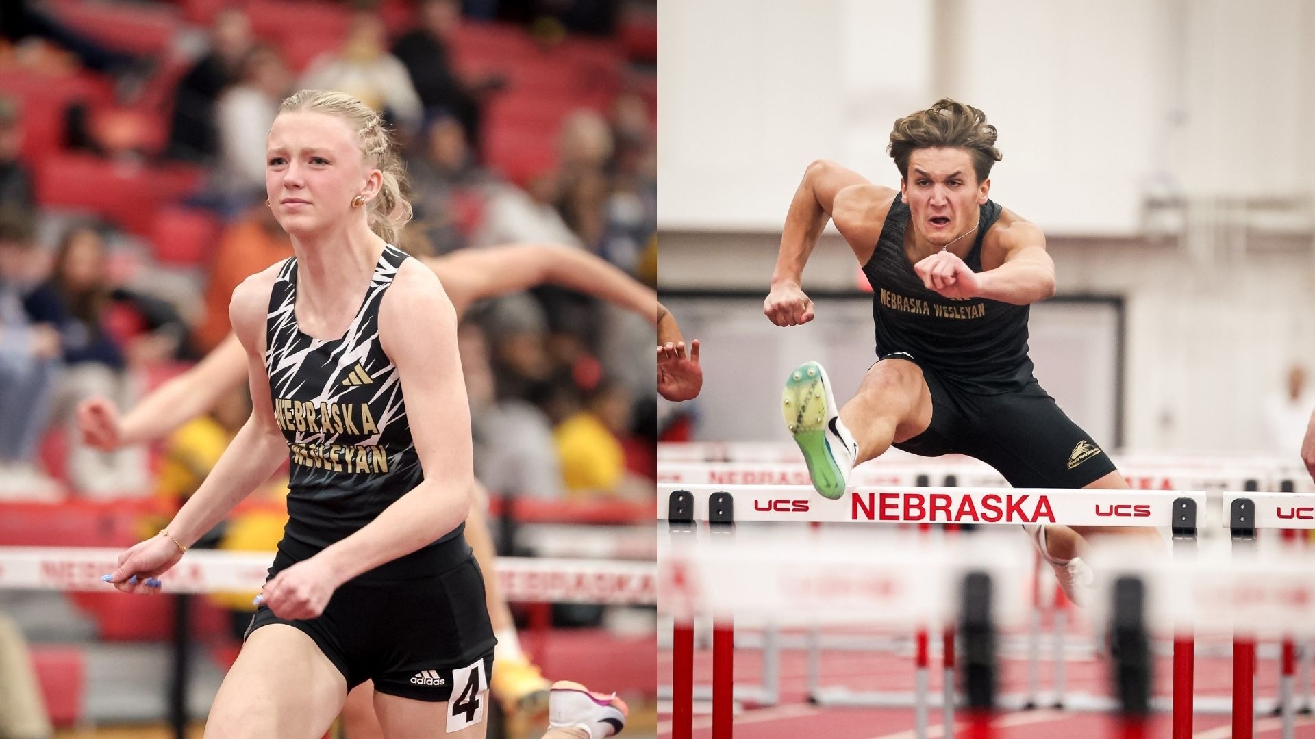 Jadah Laughlin & Hudson both going over hurdles