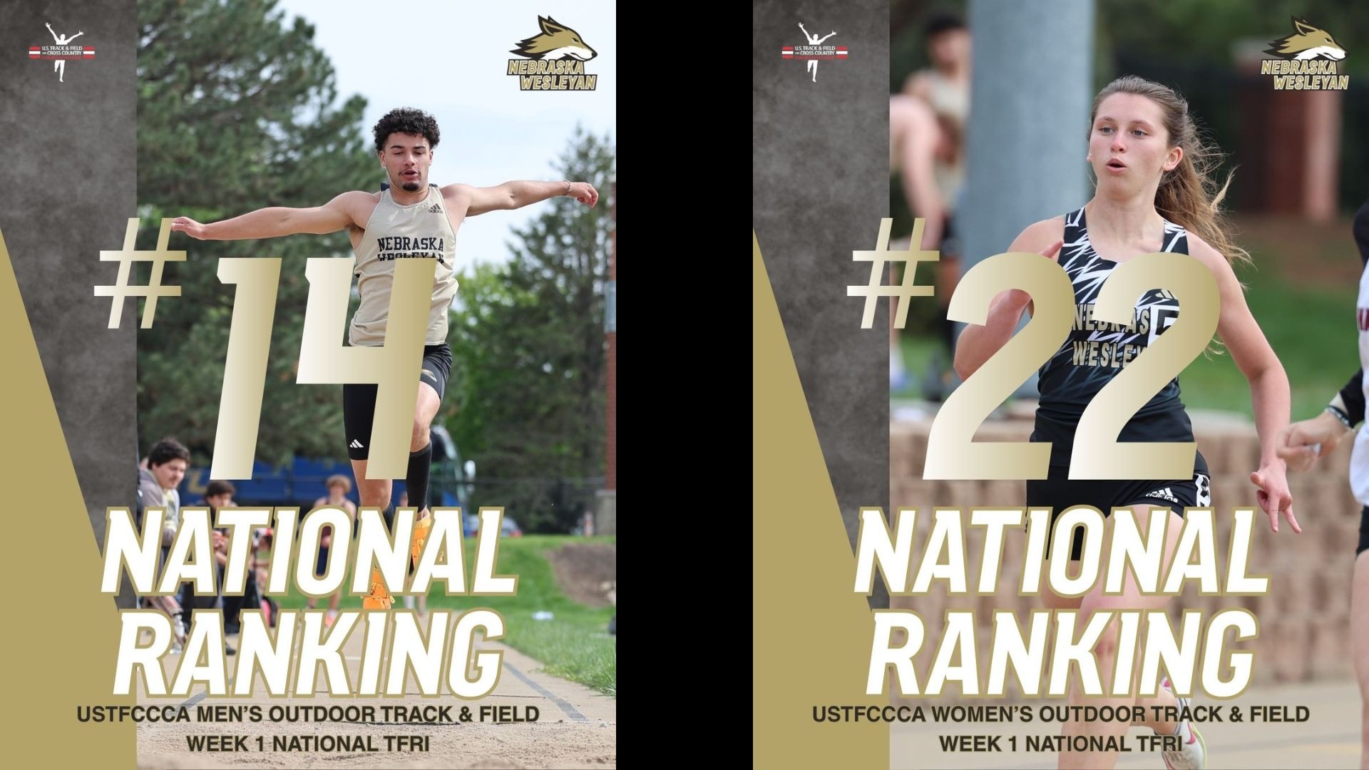USTFCCCA National Rankings