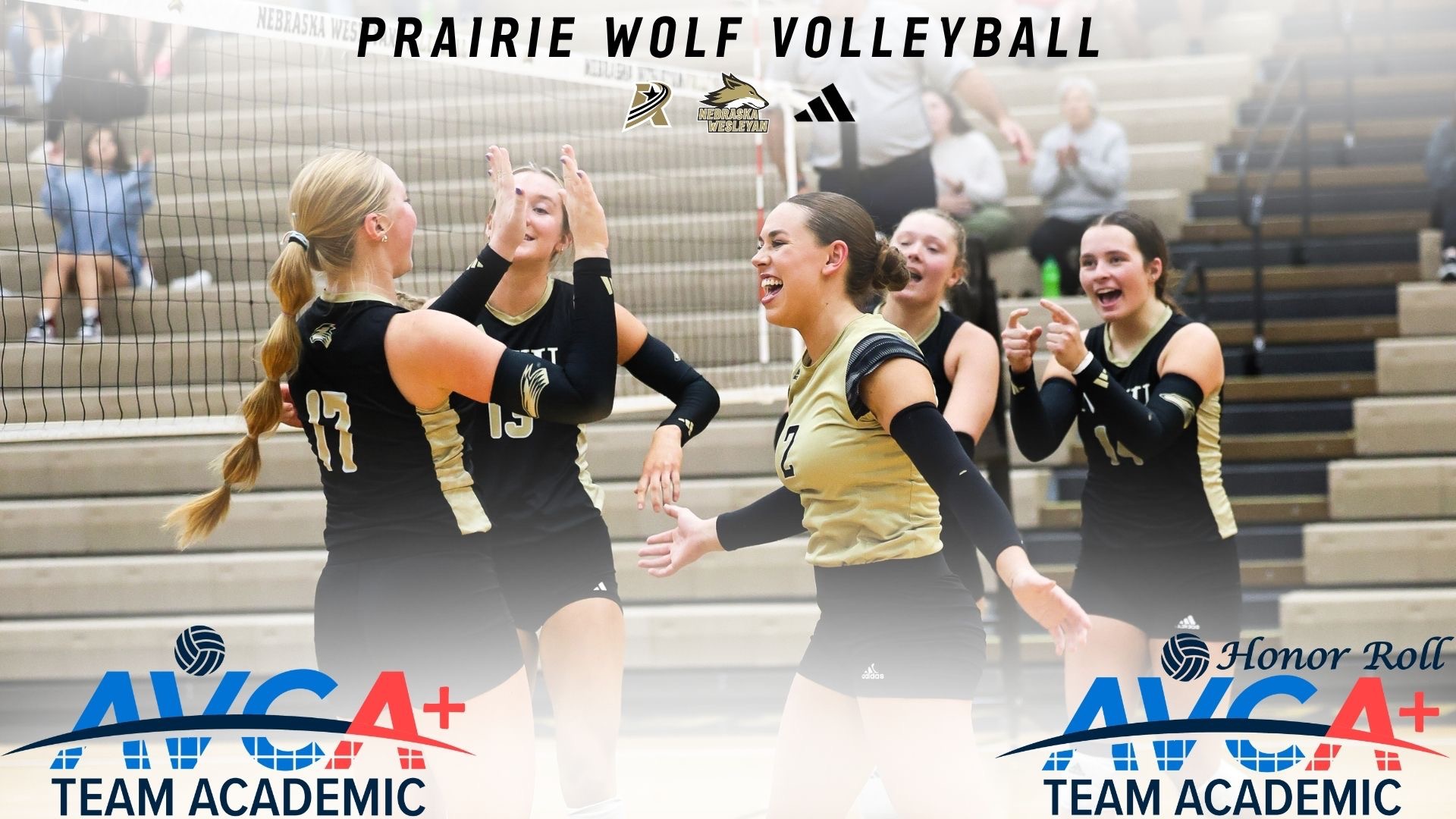 Women's Volleyball celebrates AVCA Team Academic Honor Roll