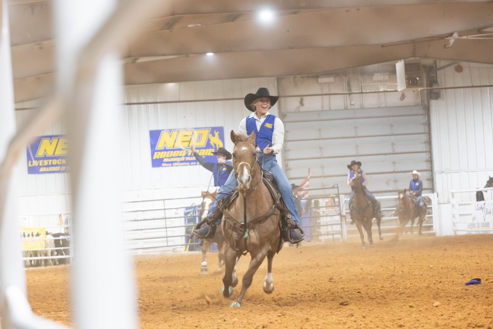 rodeo