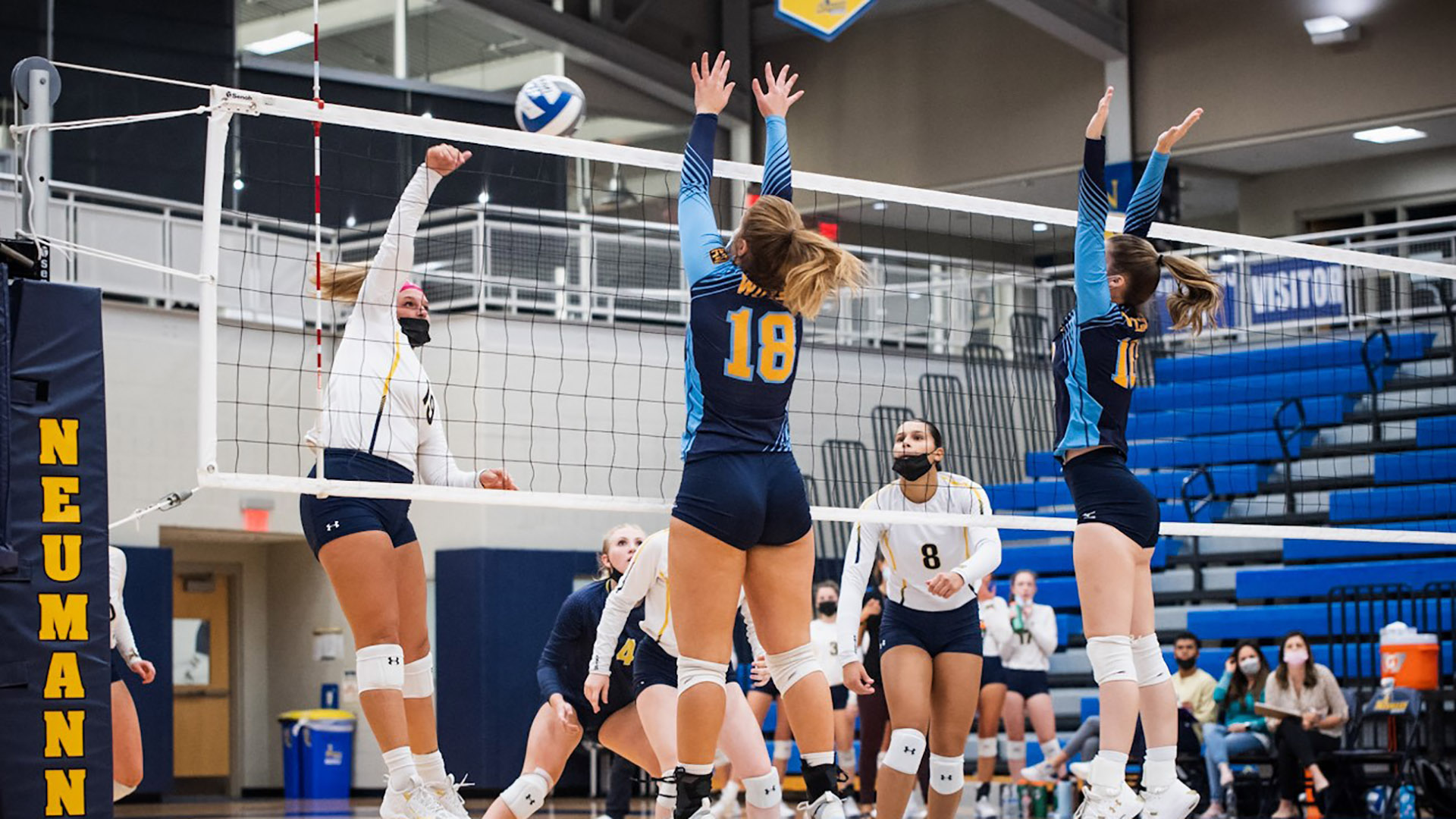 Regan Hickey - 2023 - Women's Volleyball - Neumann University Athletics