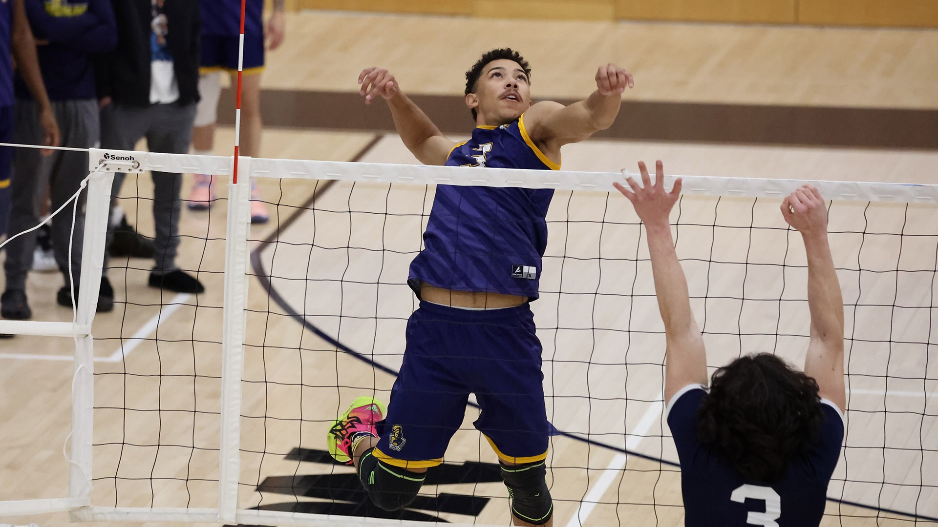Trey Edmonds 2024 Men's Volleyball Neumann University Athletics
