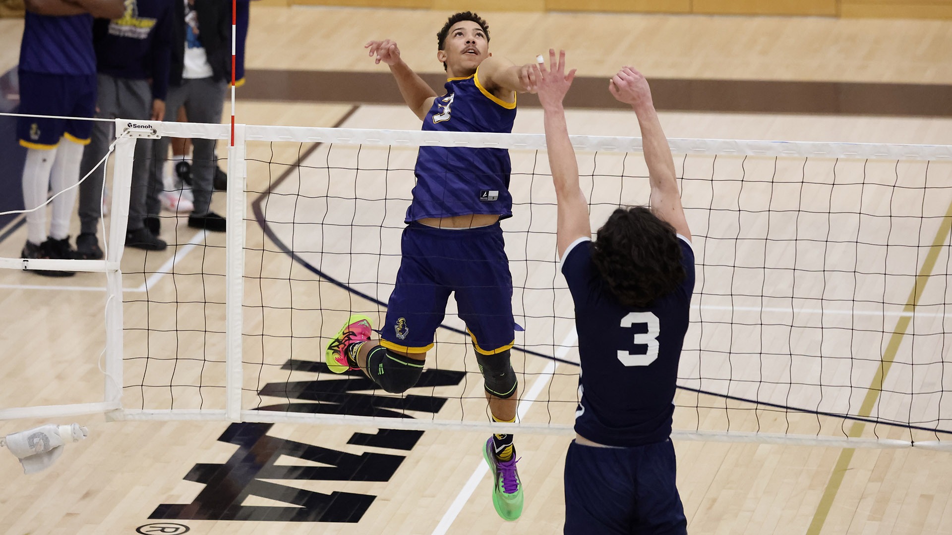 Trey Edmonds 2024 Men's Volleyball Neumann University Athletics