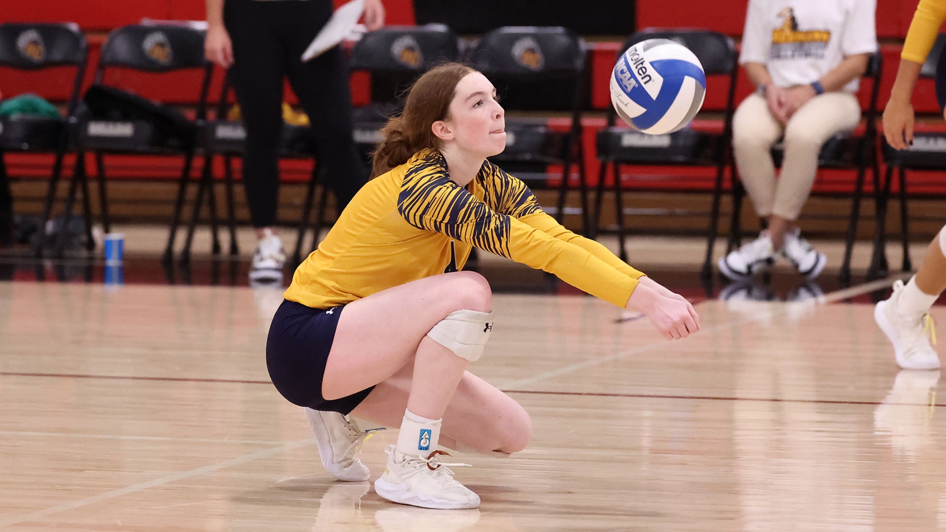 WVB