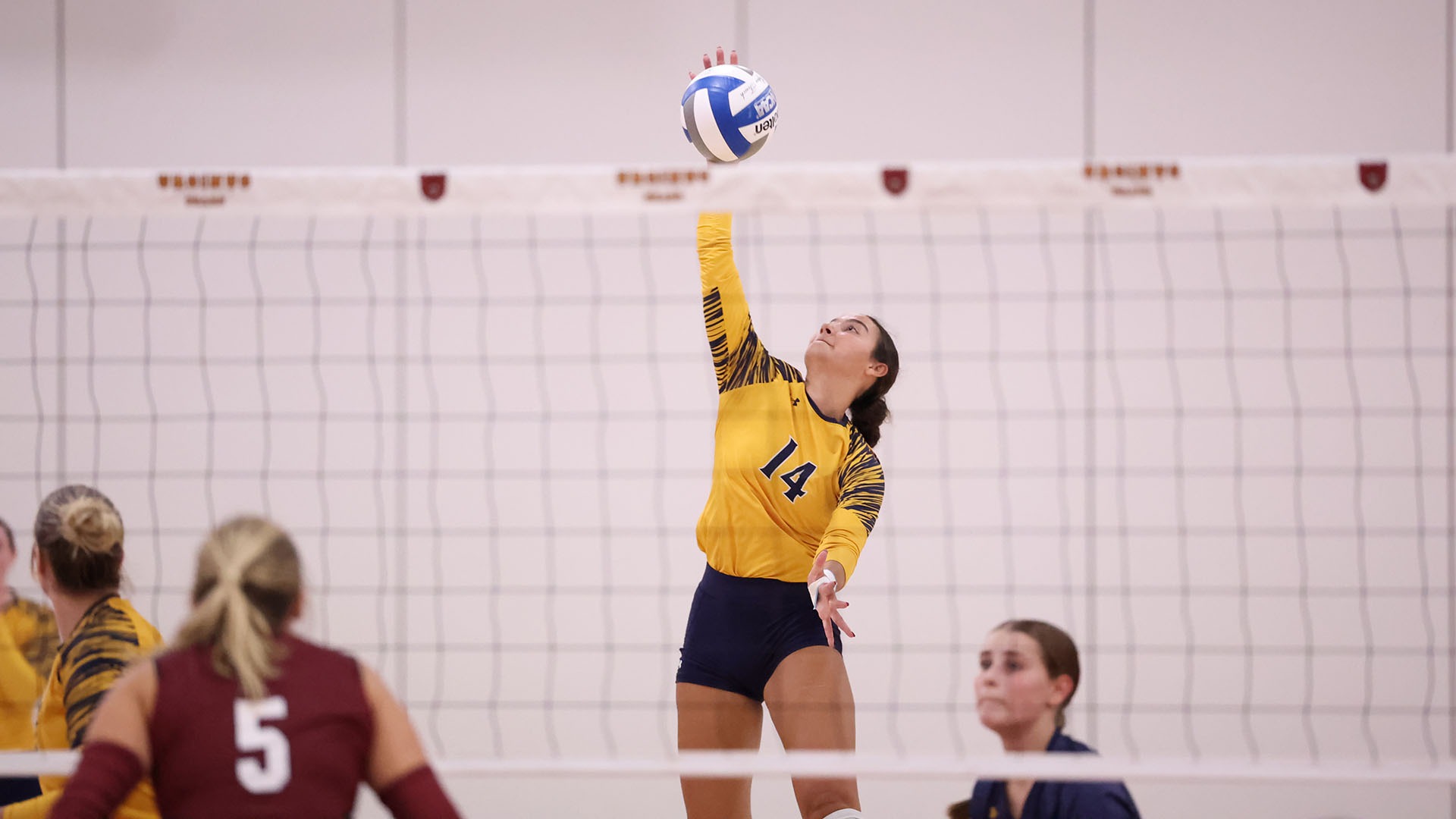 WVB