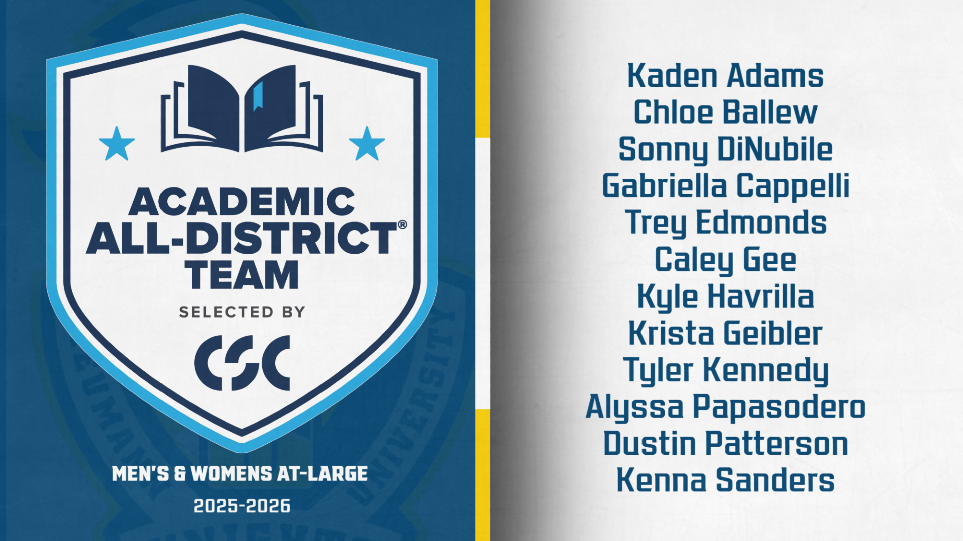 CSC AAA At-Large 2026