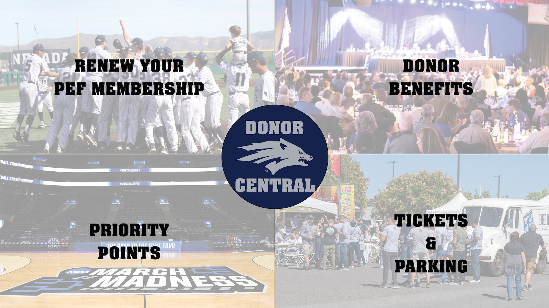 Donor Central Graphic