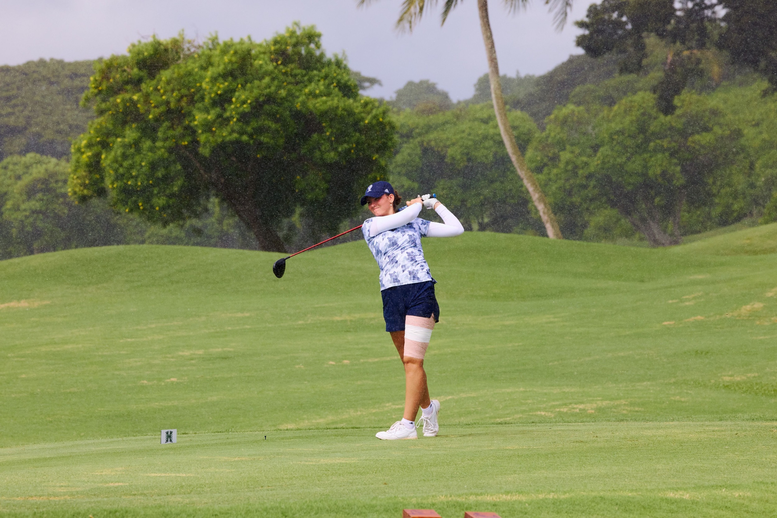 Kolbas Rainbow Wahine Inv