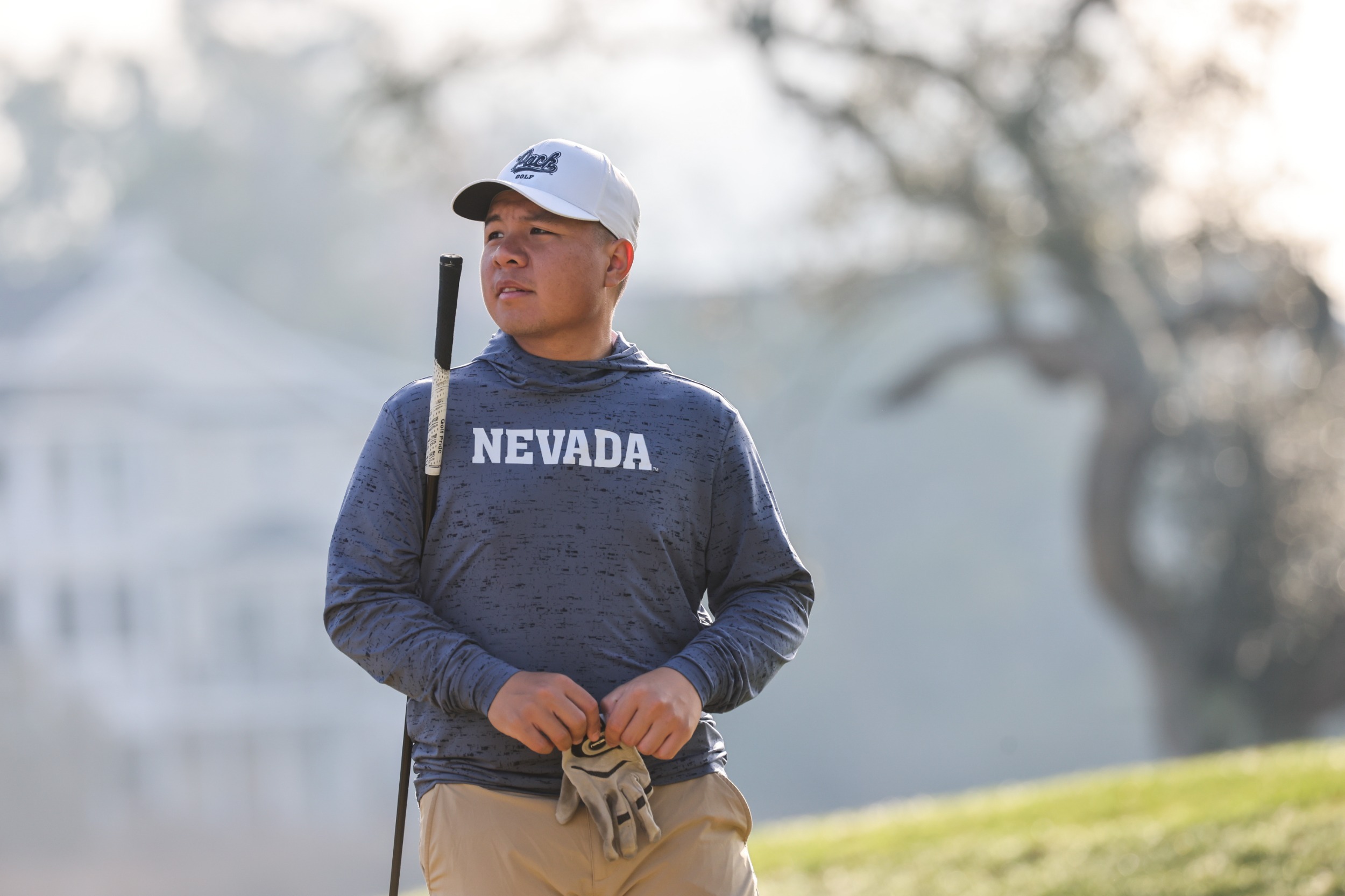 Seelanagae South Carolina 24 Spring