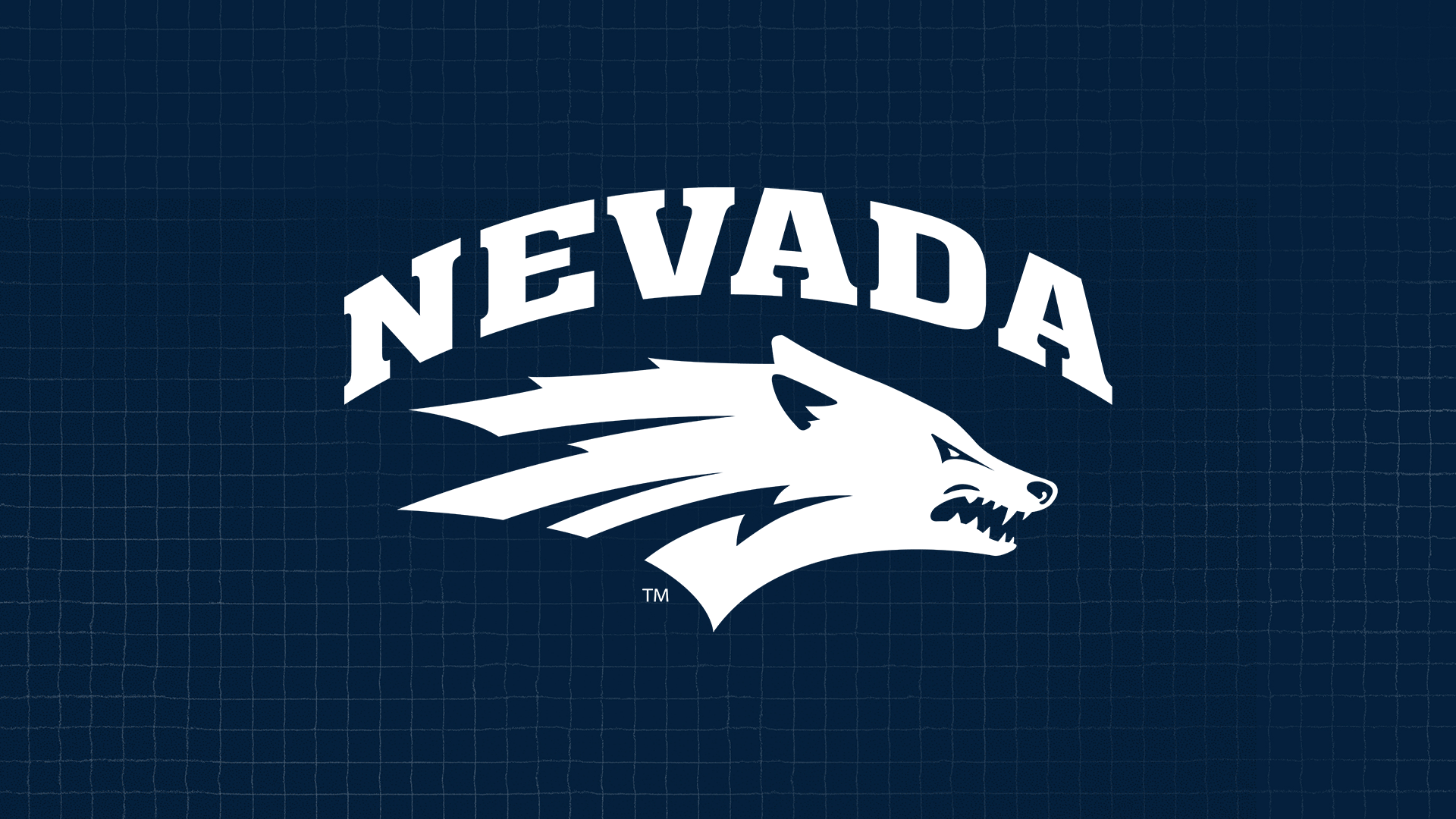 Navy blue rectangle with white Nevada logo in the center