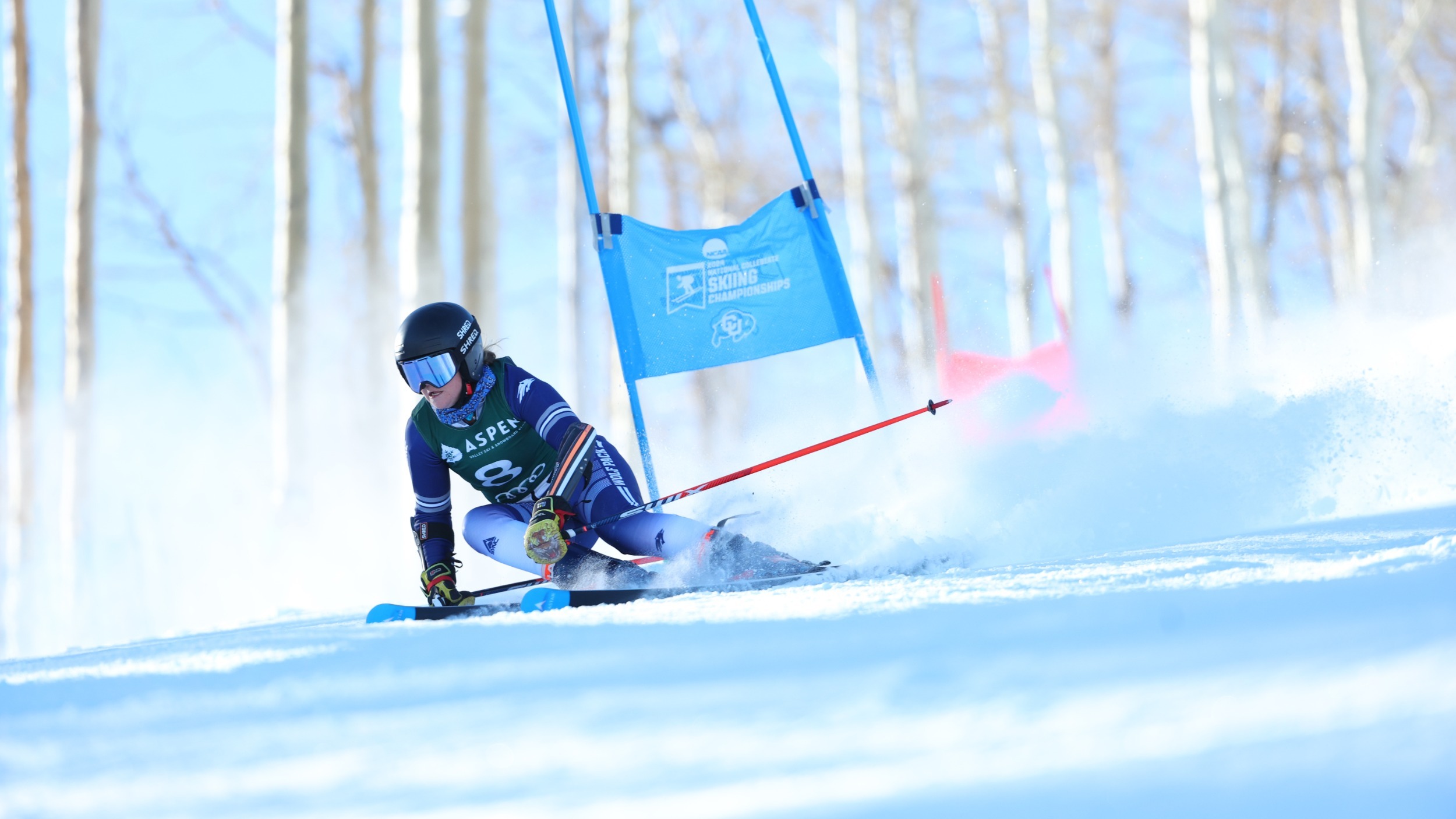 Erica Lynch makes a turn at a blue giant slalom gate