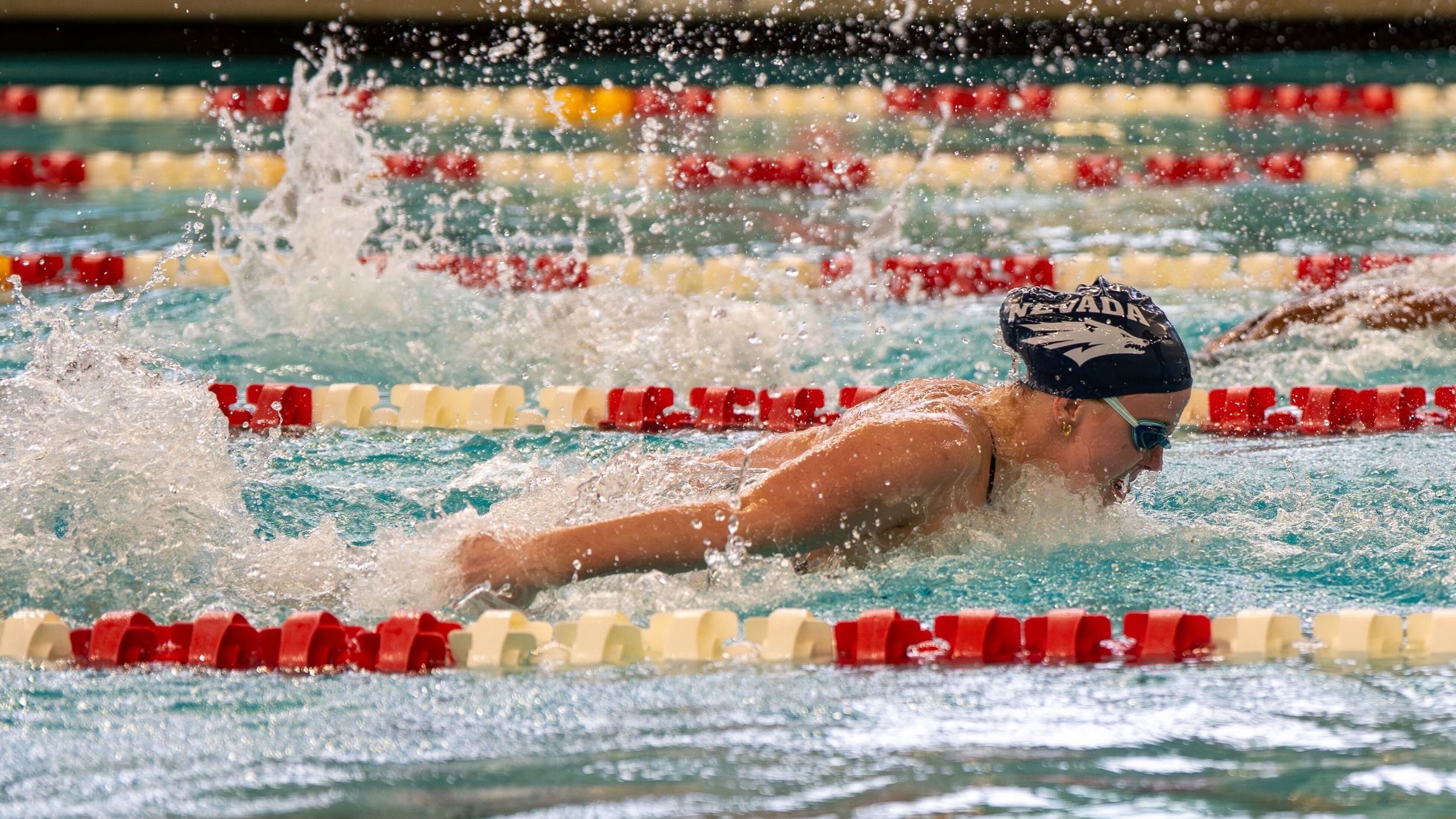 silver state series Nevada swimmer