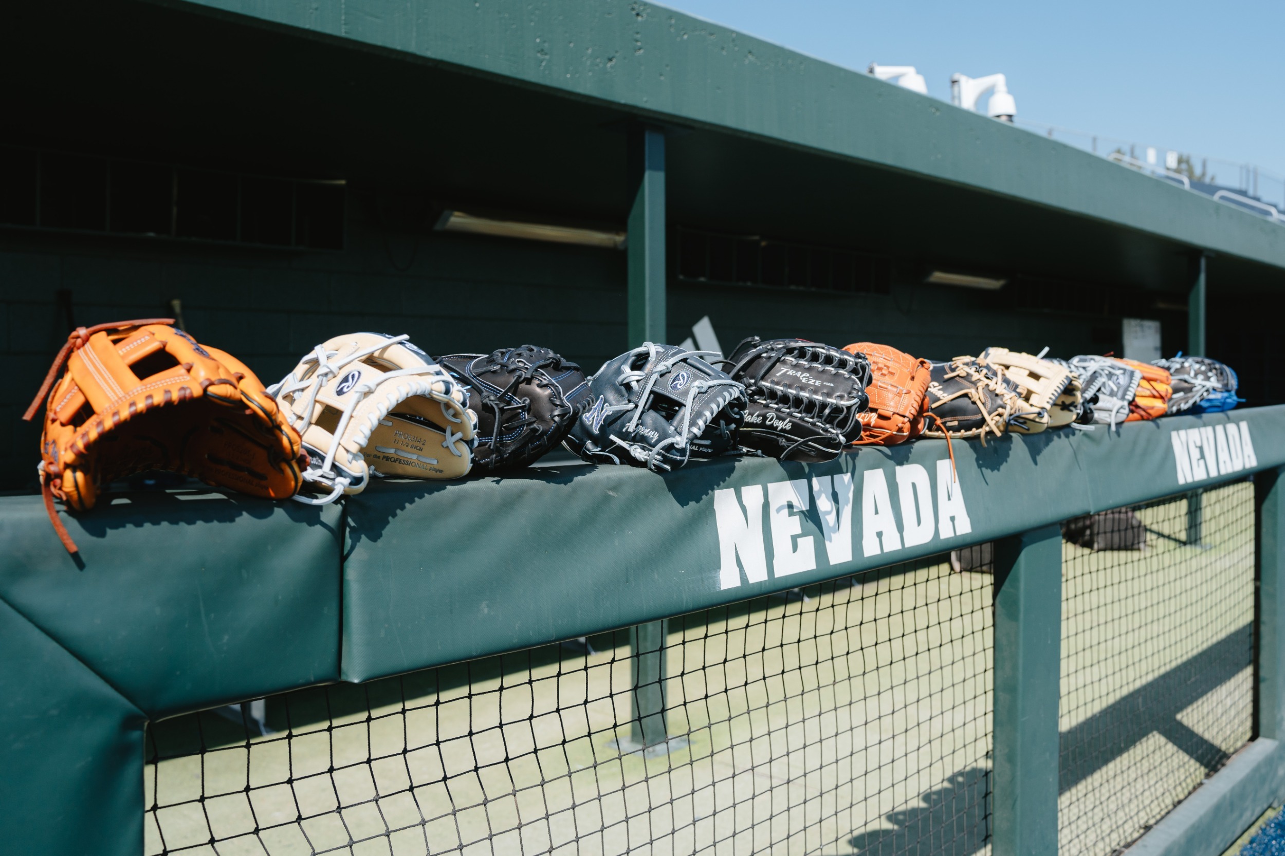 Baseball gloves lined up on the rail in front of a dugout