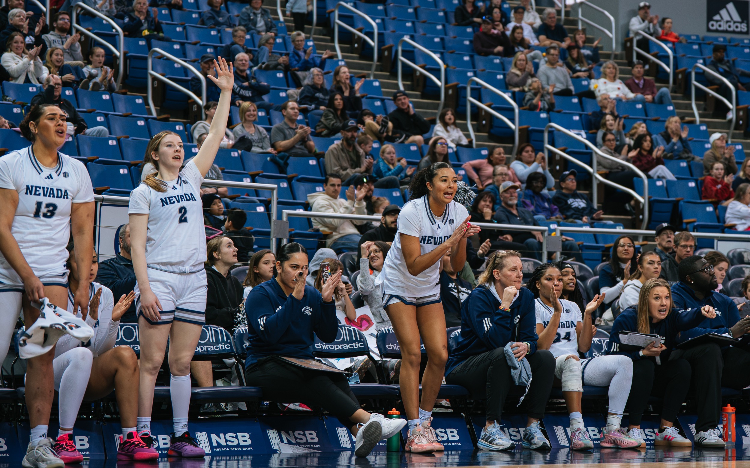 wbb bench celebration