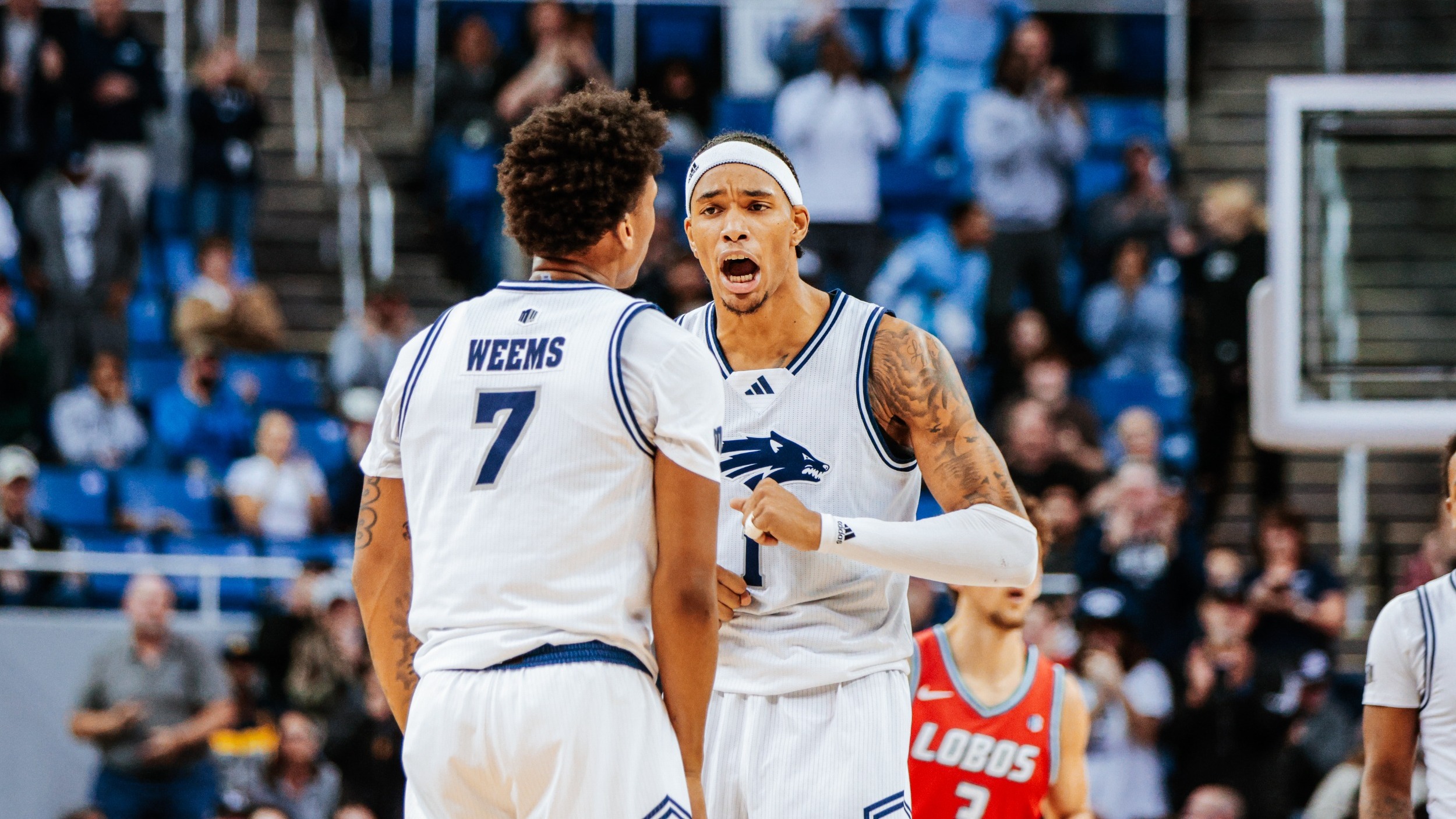 Price and Weems vs New Mexio