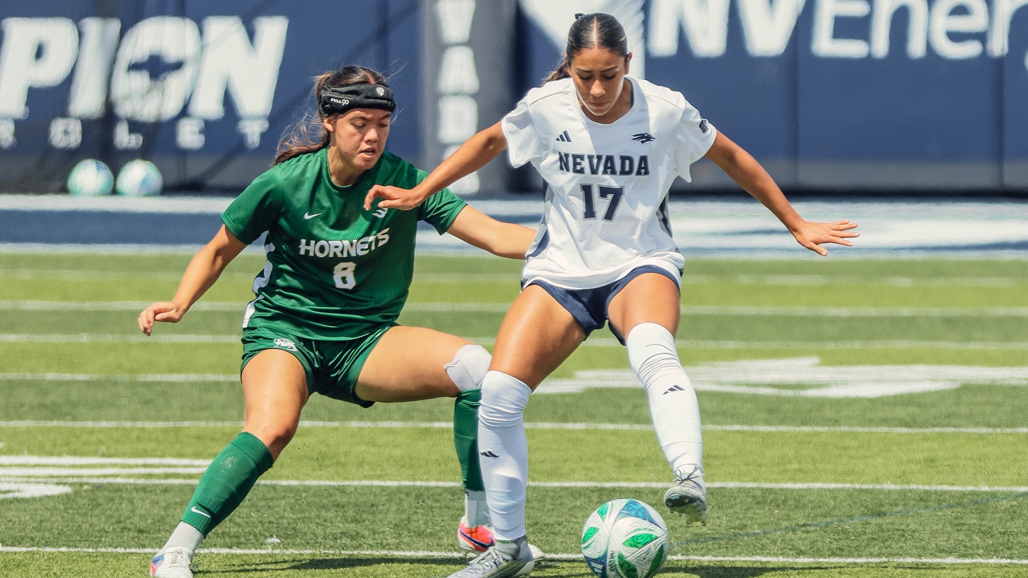 Daniela with a defender on her back
