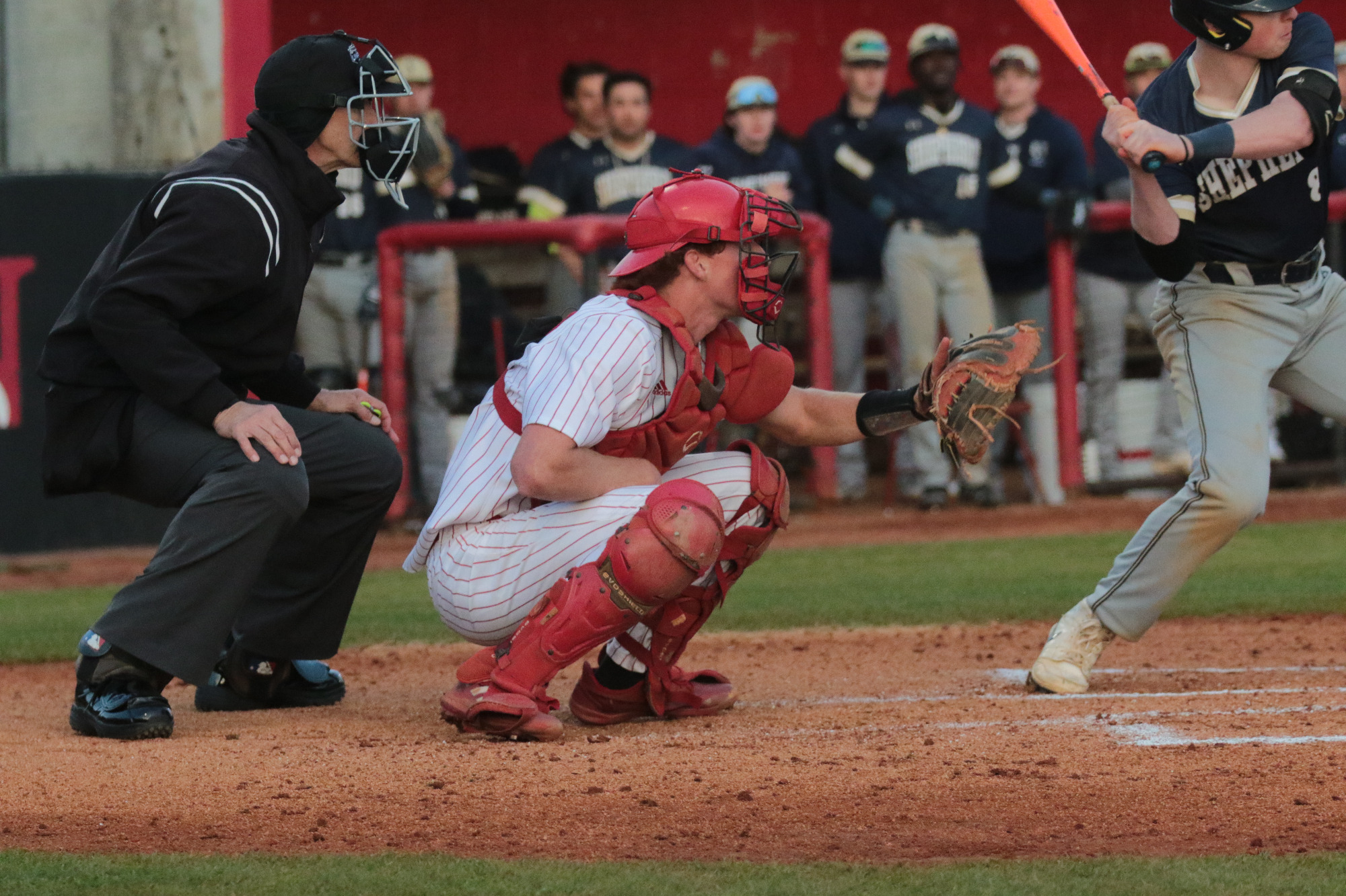 Rhett Jolly Baseball Newberry College Athletics