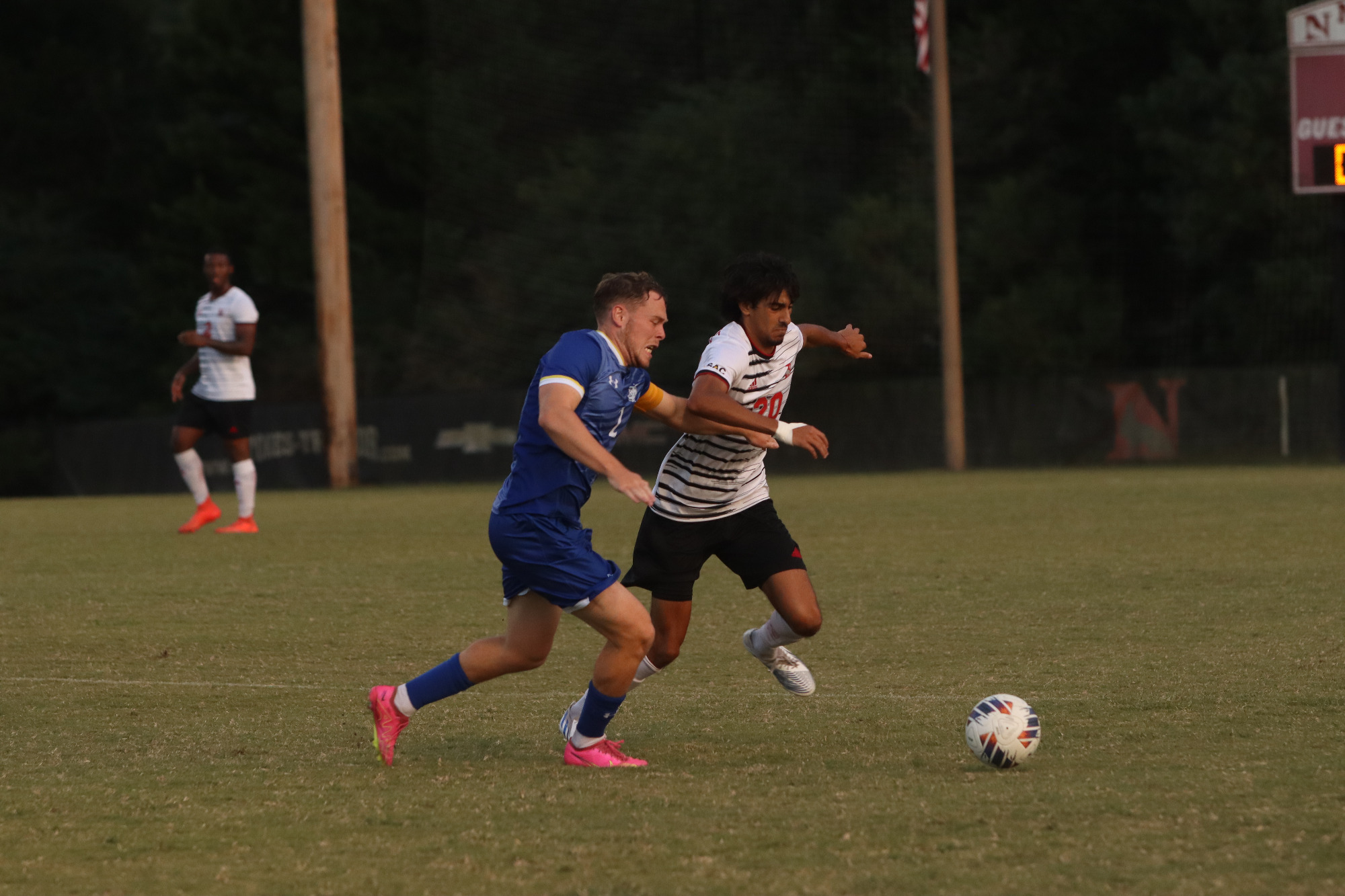 Wolves Drop Contest to No. 8 Limestone Newberry College Athletics