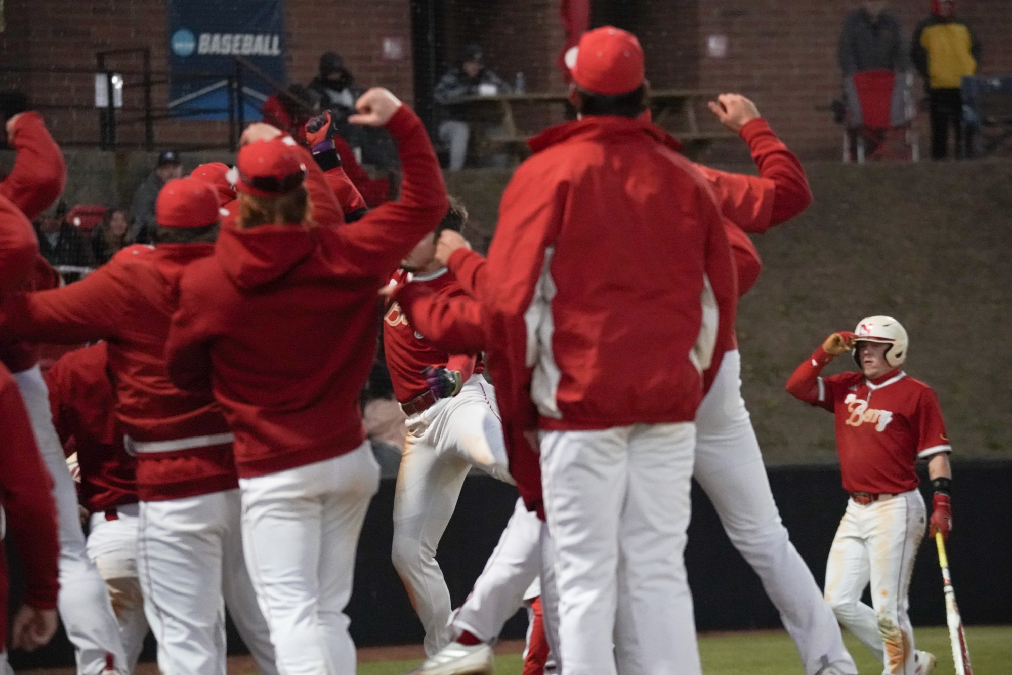 Wolves baseball celebration
