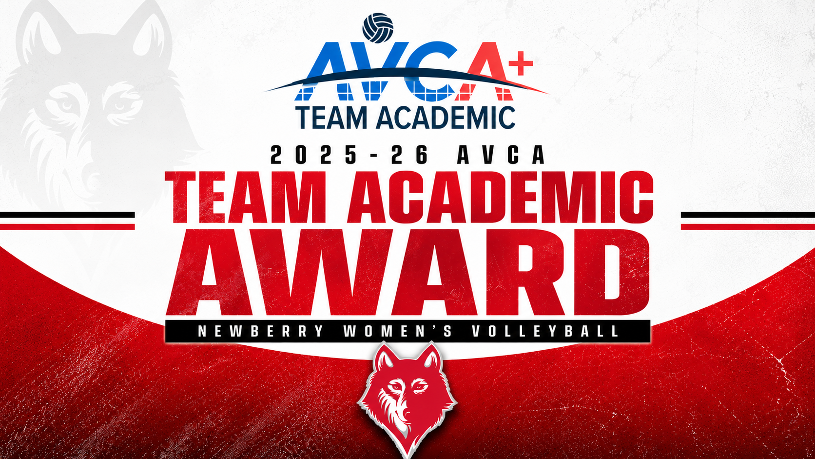 WVB AVCA Award