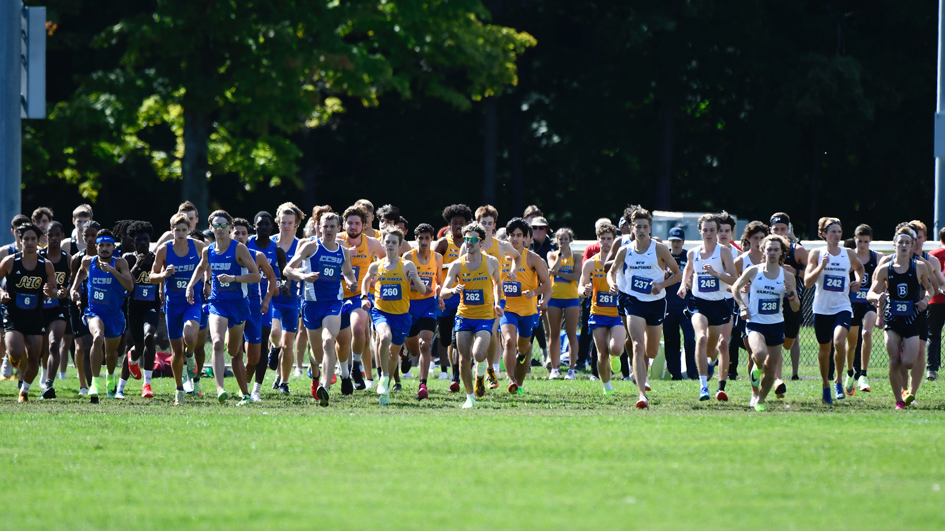 Men's Cross Country Group Start