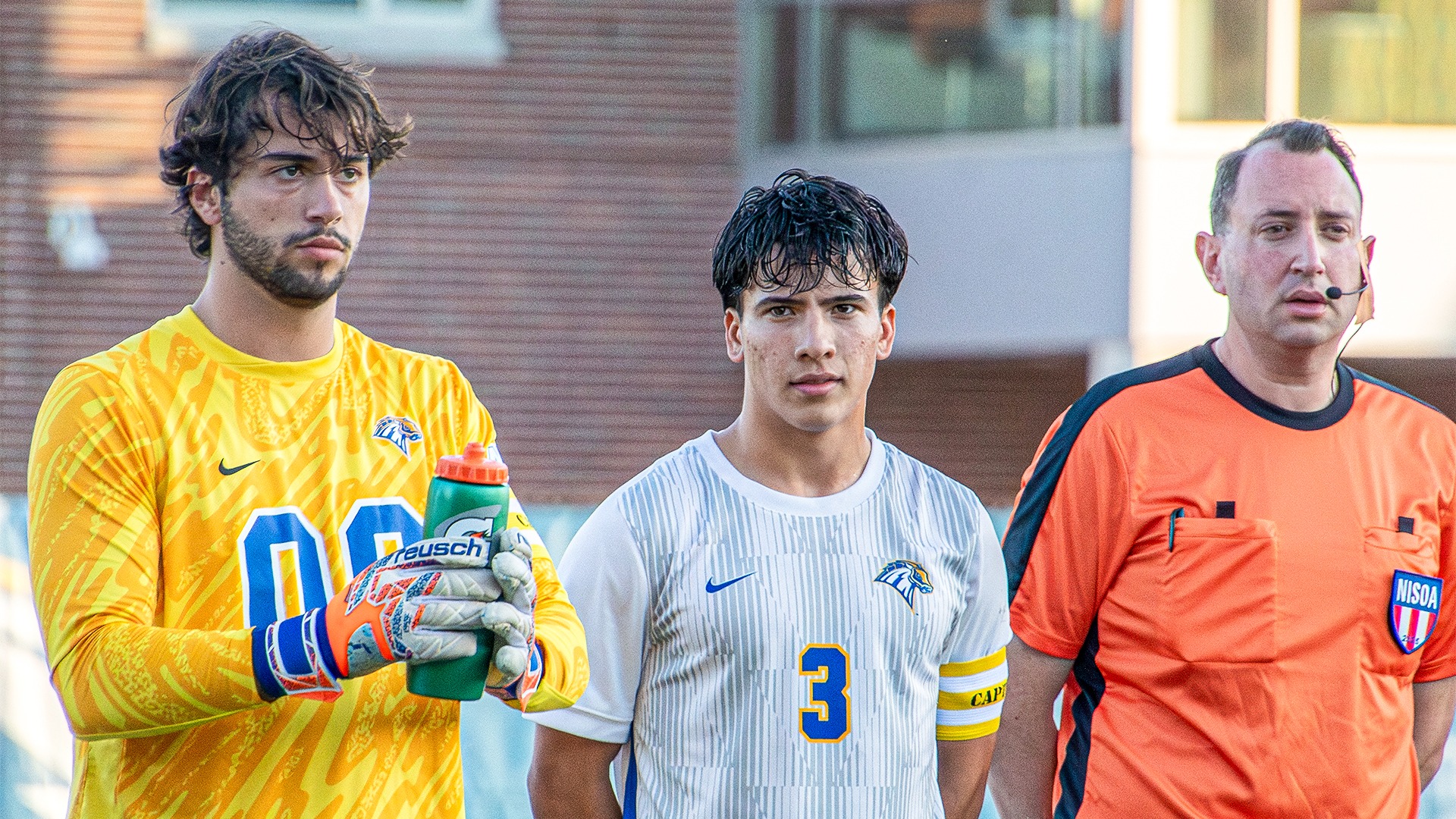 Bizzini and Fiscella