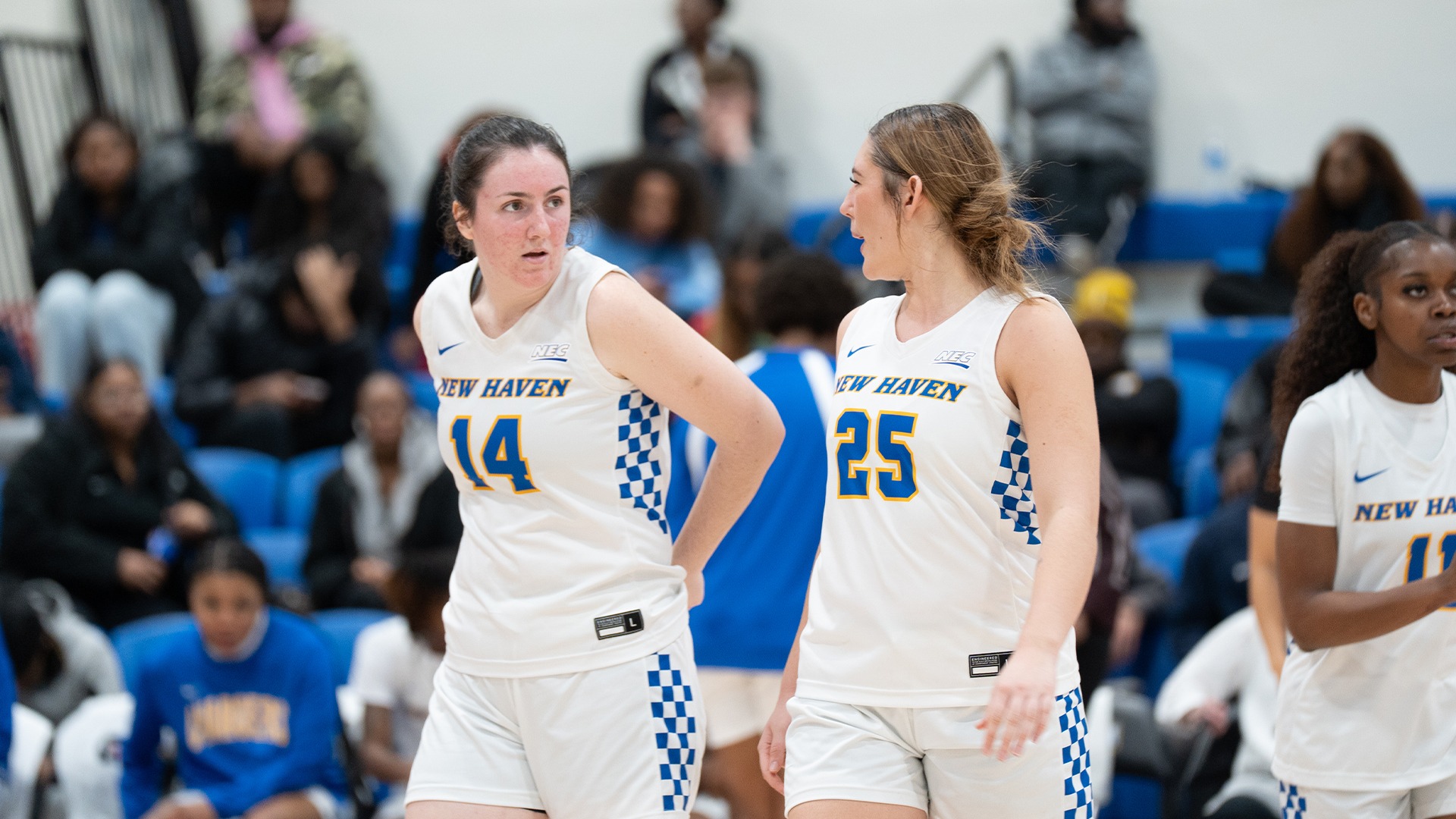 hogan and sulikowski