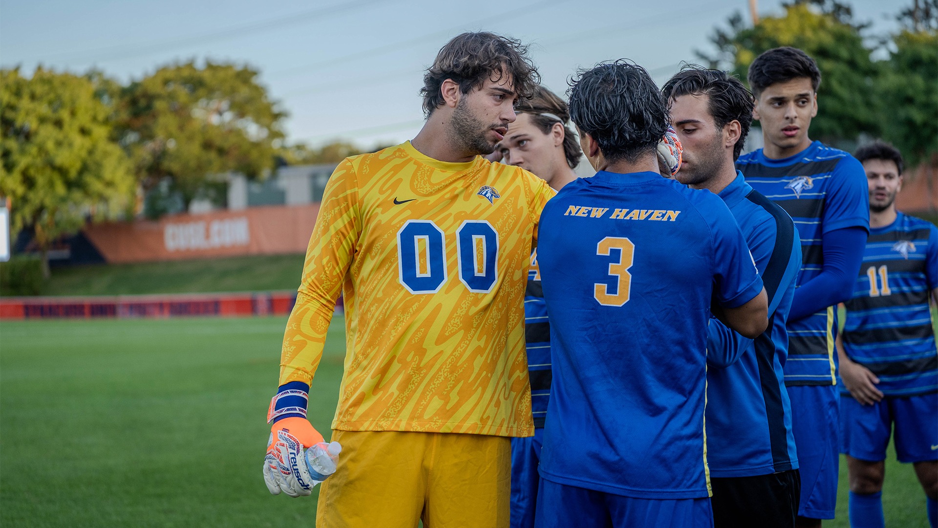 Bizzini and Fiscella